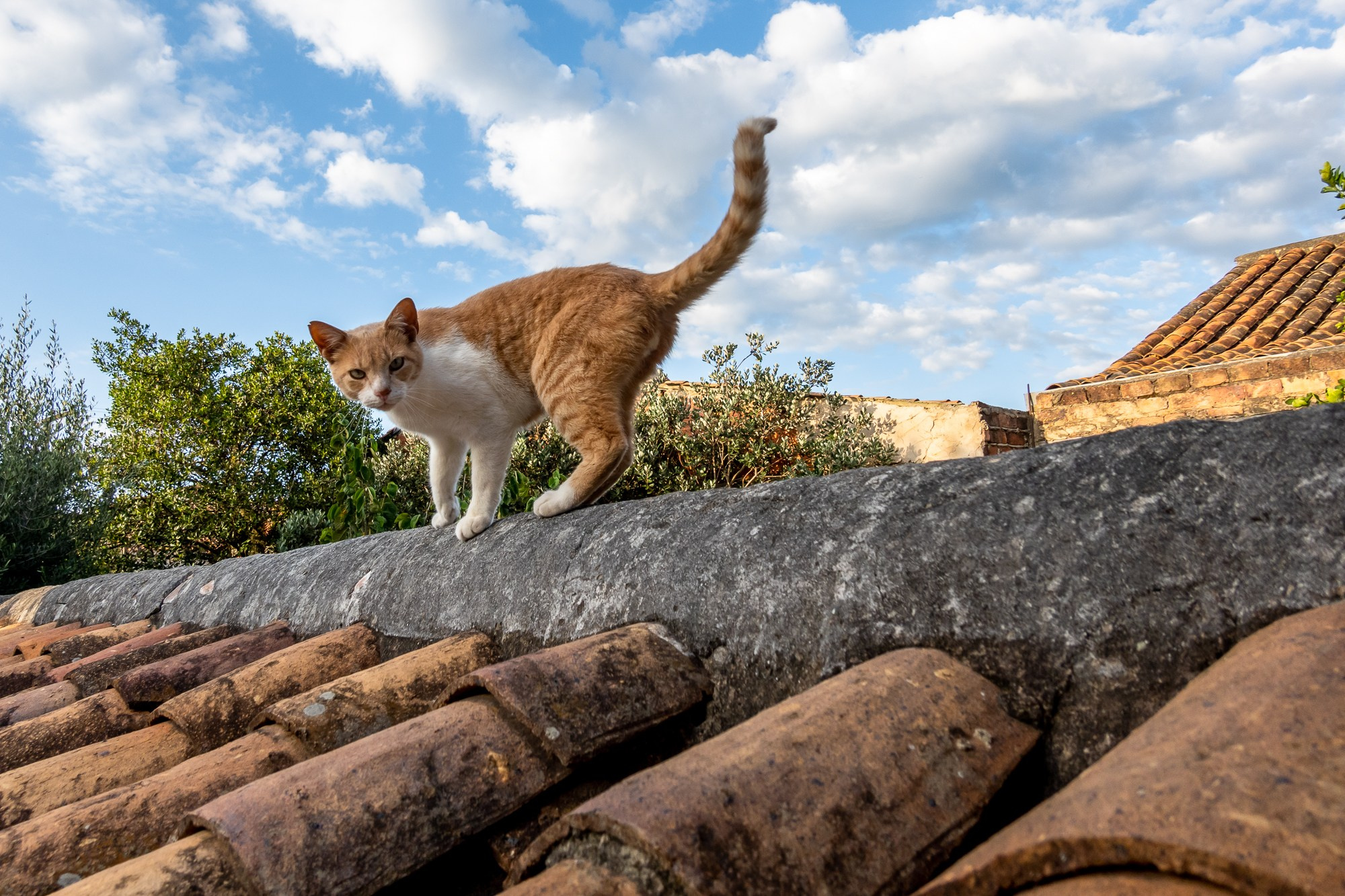 Алексей Скоробогатько, фотограф.  Колумбия Вилья-де-Лейва. Alexey Skorobogatko, photographer, Colombia Villa de Leyva. Фотограф Алексей Скоробогатько