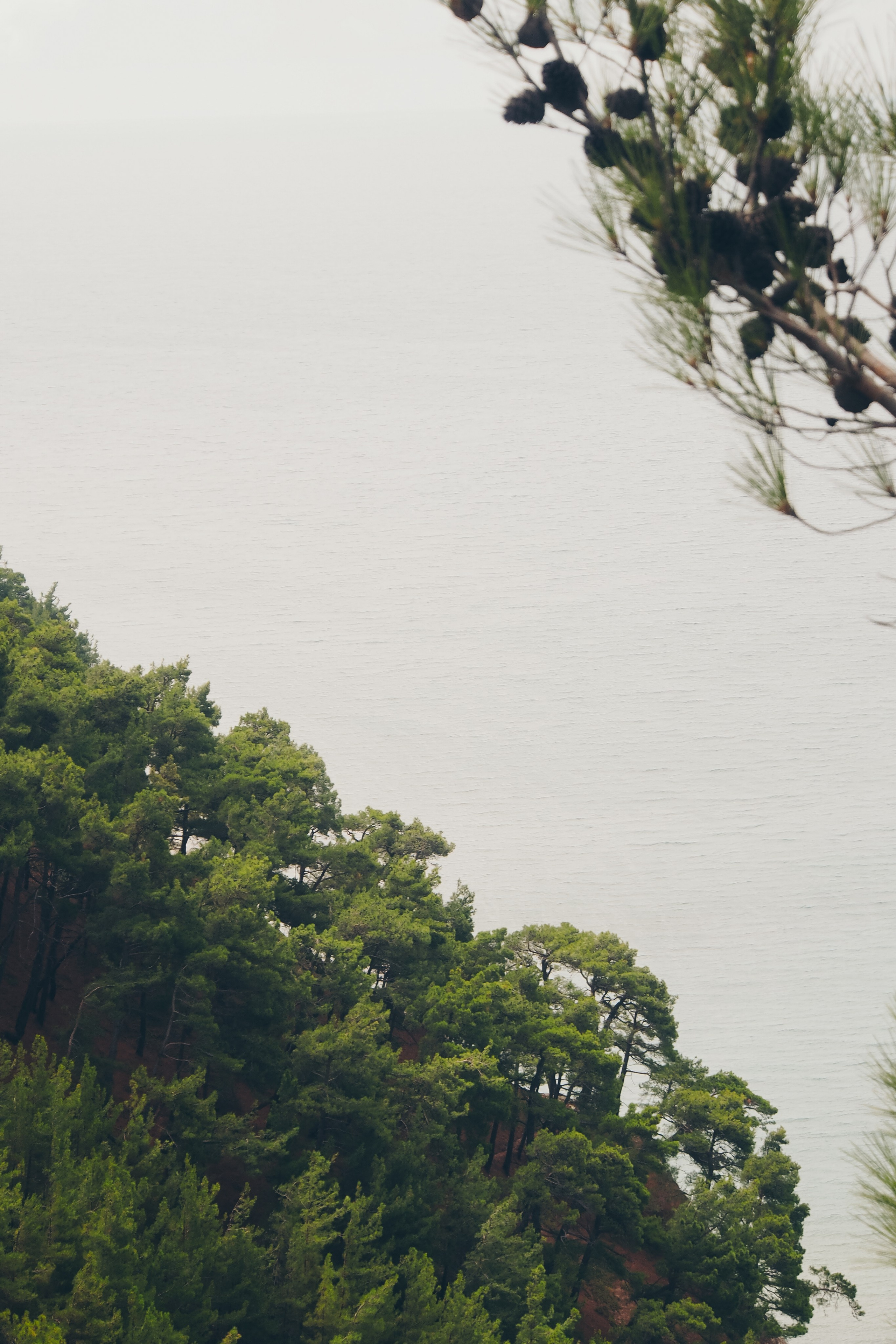 Черное море. Свадебный фотограф Копков Геннадий