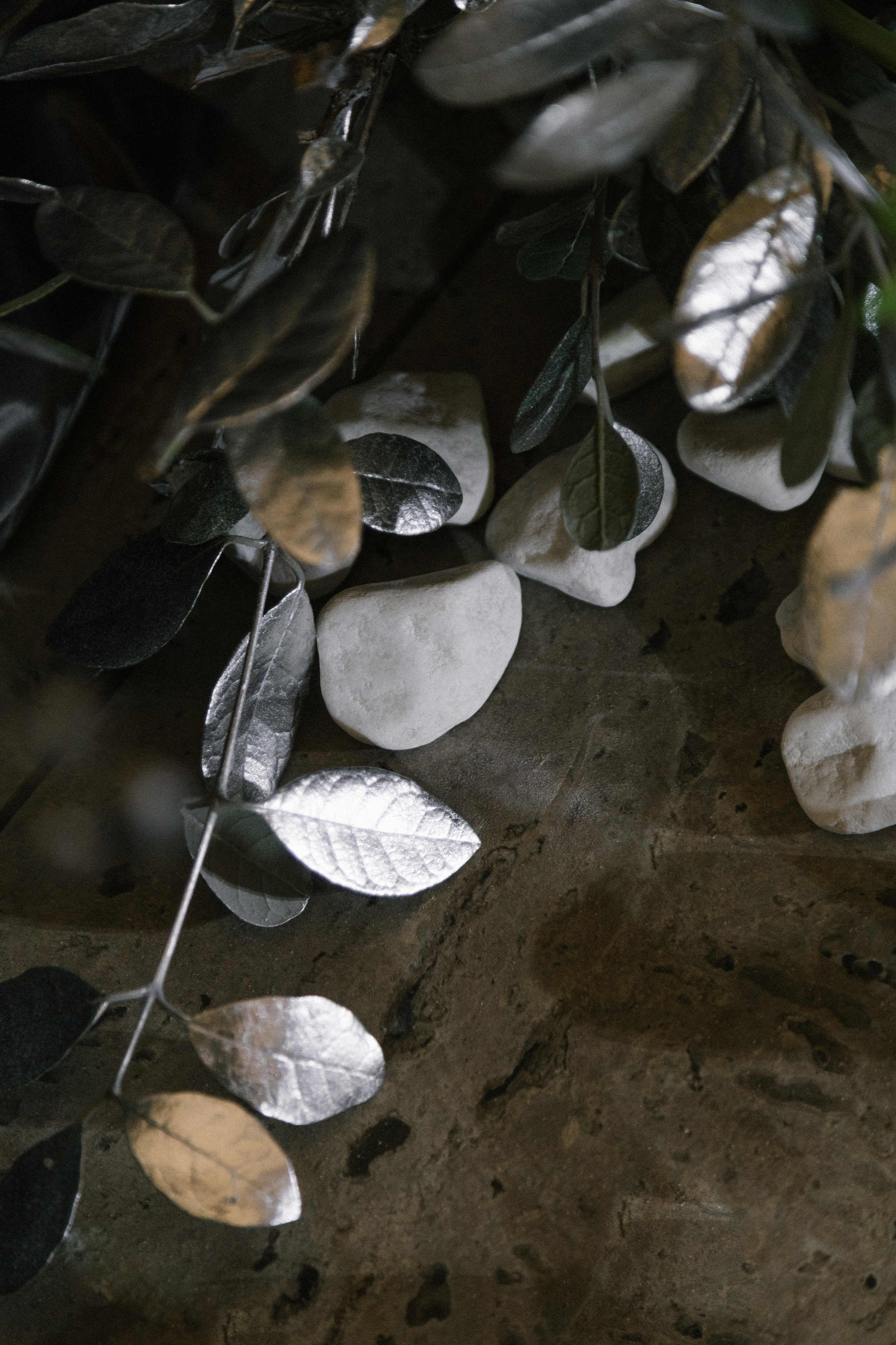 Decor | Серебро