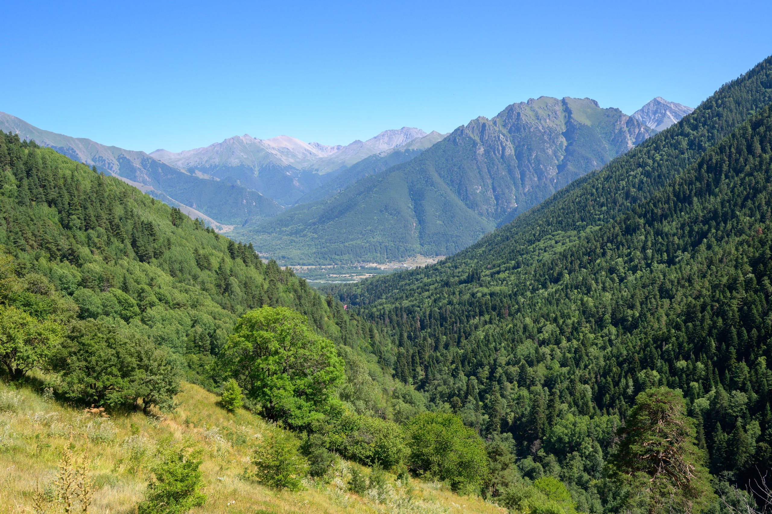 Экспедиция 2025