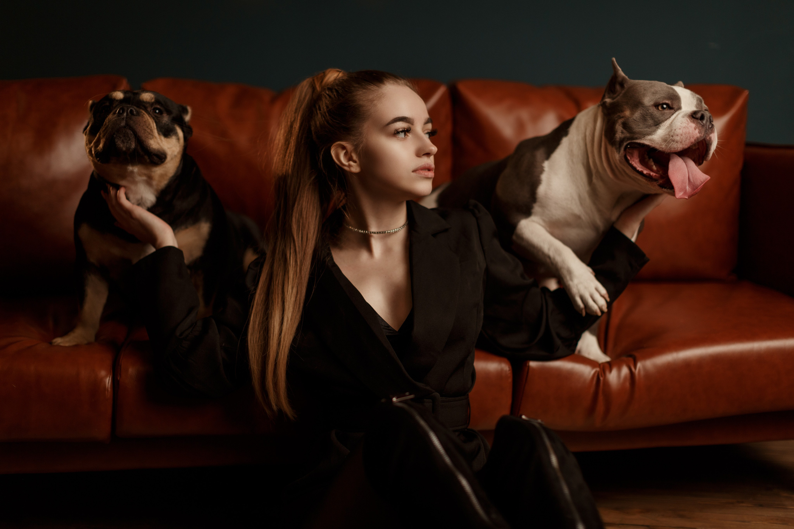 Фотосессии с вашими любимцами. Фотограф Артемьева Катерина|фотосессии с лошадьми