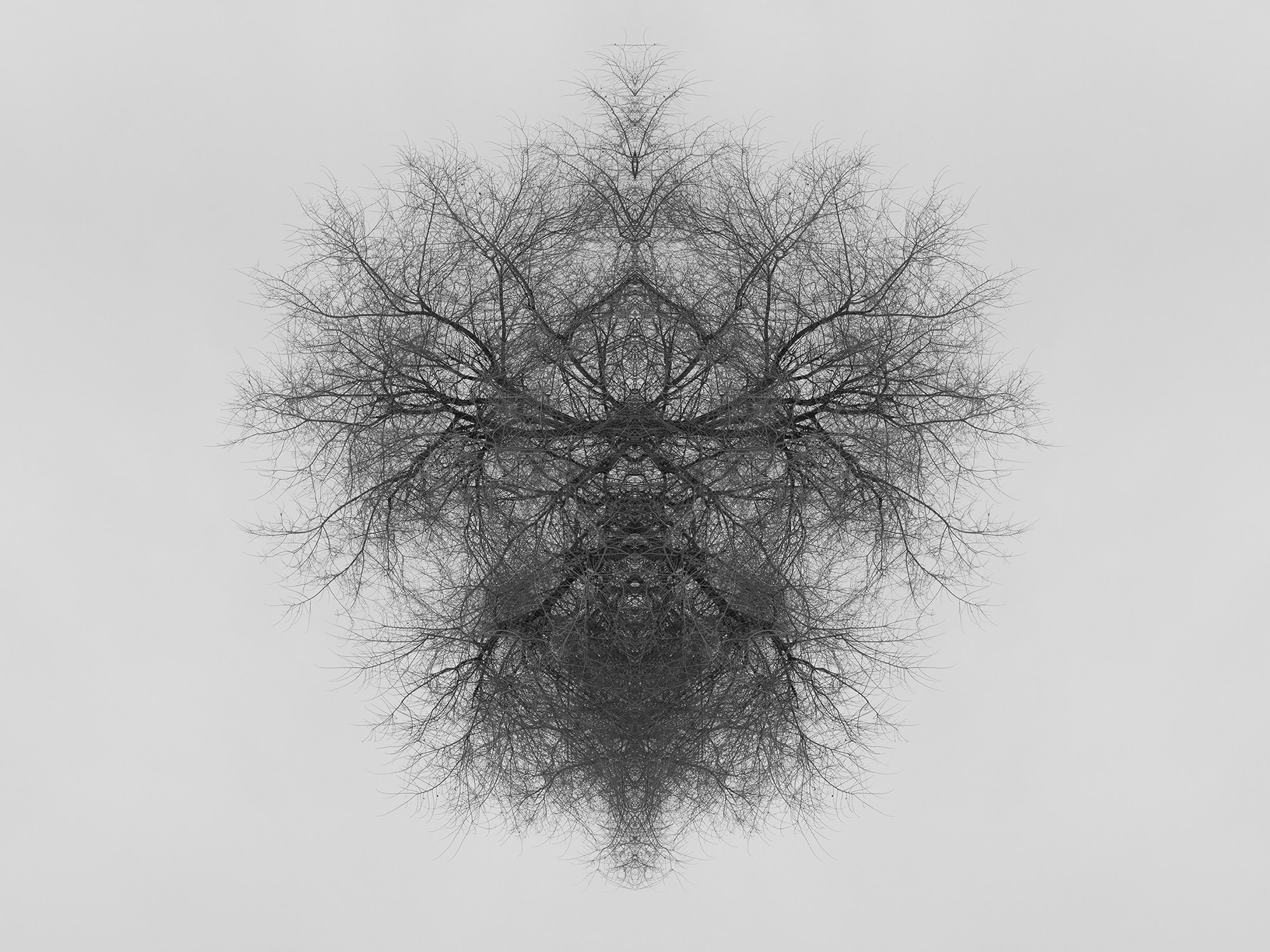 Острова. Анна Порошина — междисциплинарный художник