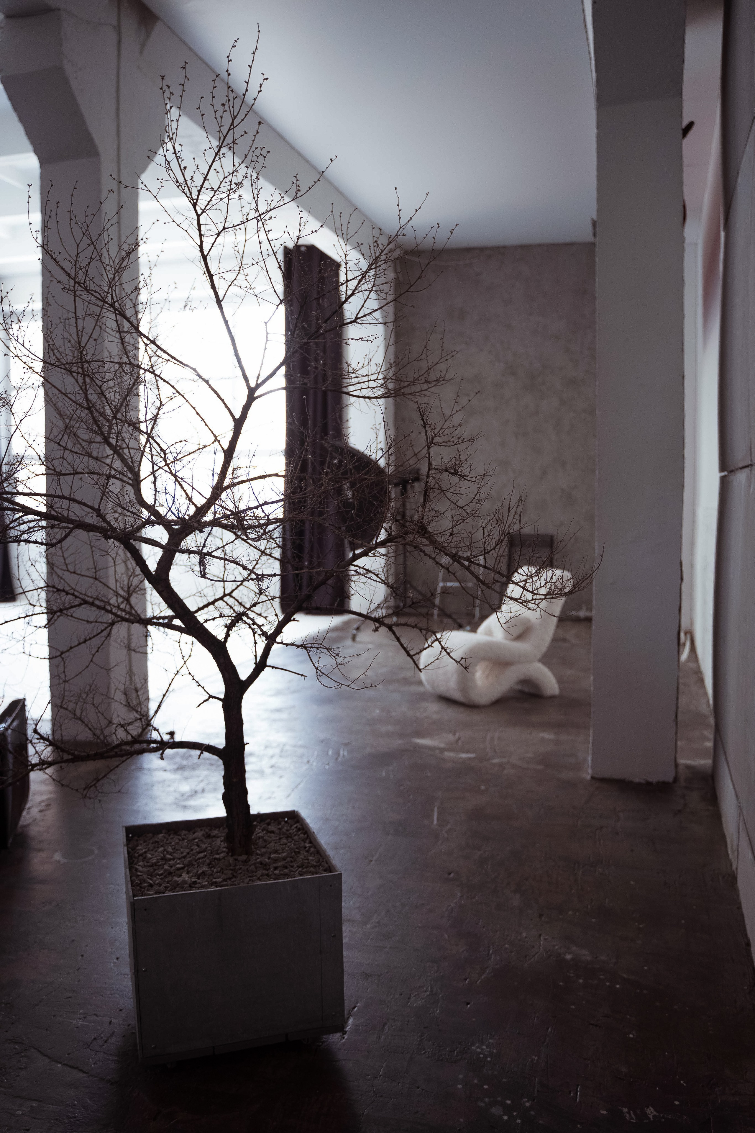 Грэй (студия Спутник). Фотограф г. Хабаровск. Семейные и индивидуальные съёмки