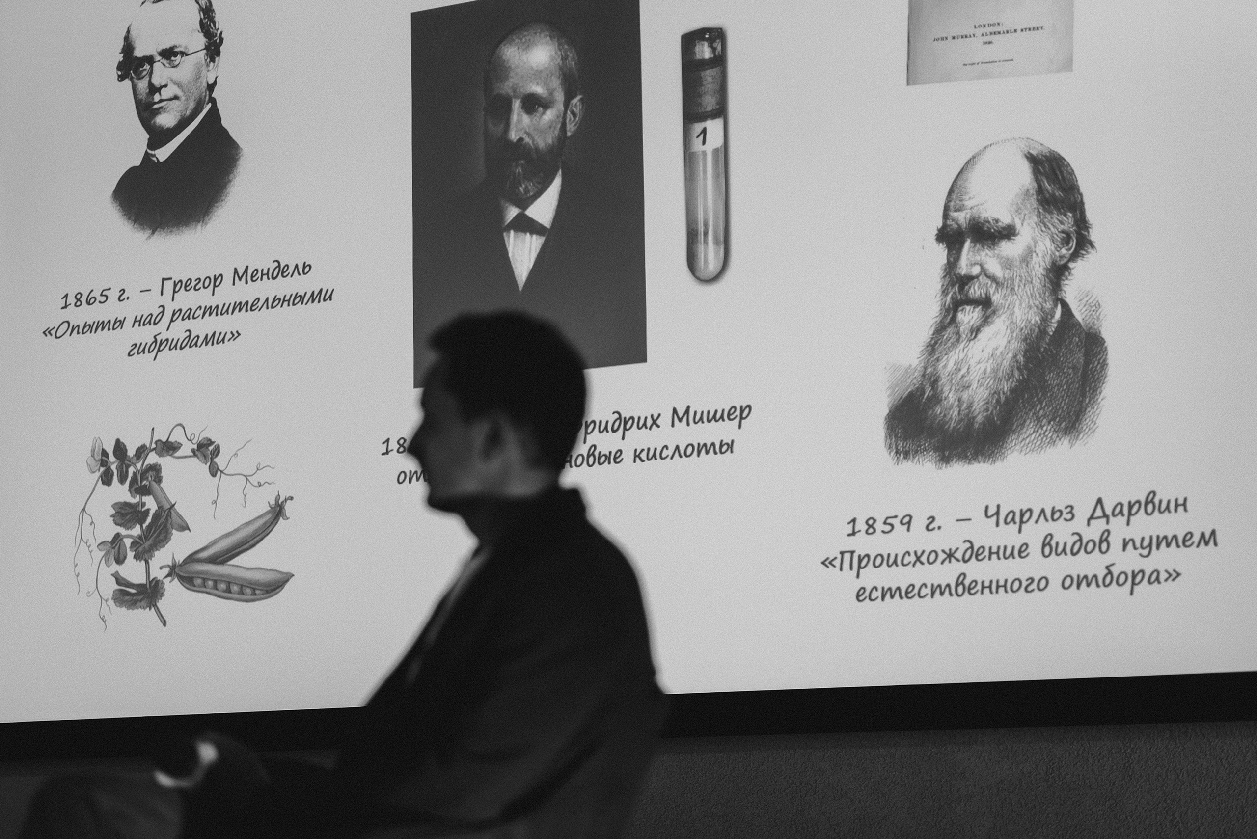 28.06.2022 | Лекторий № 1 «О генетике с генетиком». Лекция Дмитрия Кривошеева. Фотограф Роман Рудаков