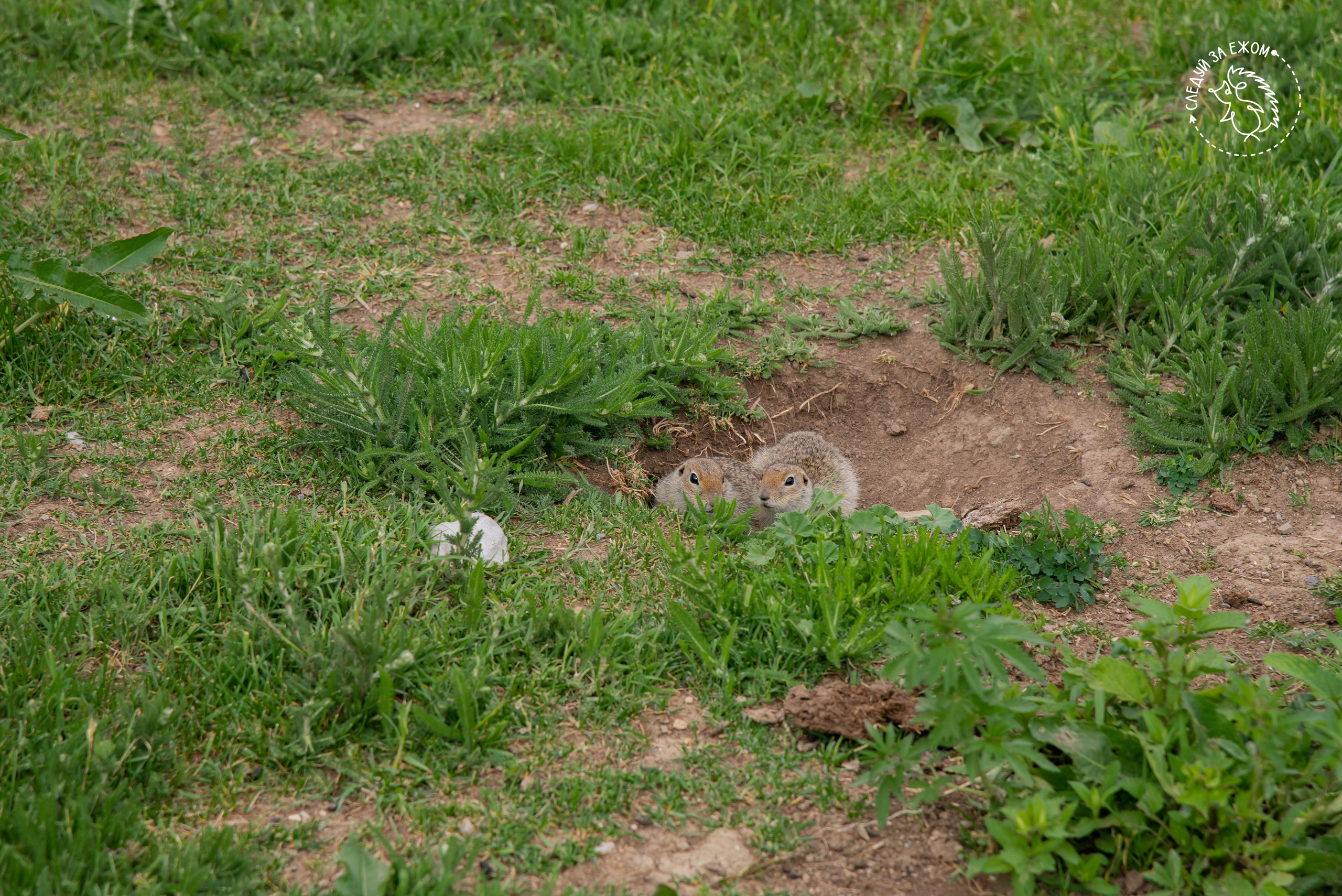 Тур в Чегем. Фотограф Галина Нестерова