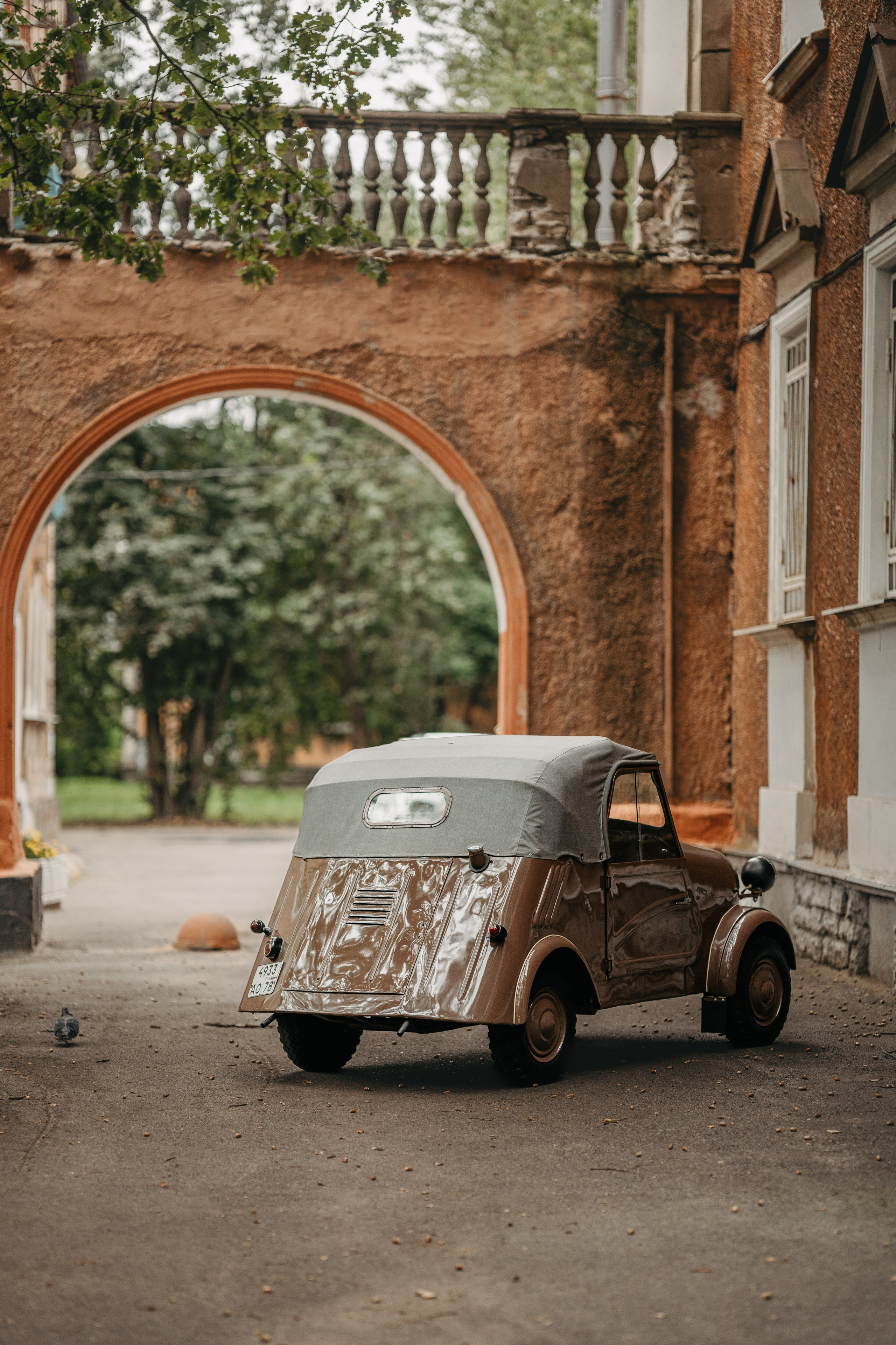 СМЗ С-3А. Фотограф в Санкт-Петербурге Мария Александрова