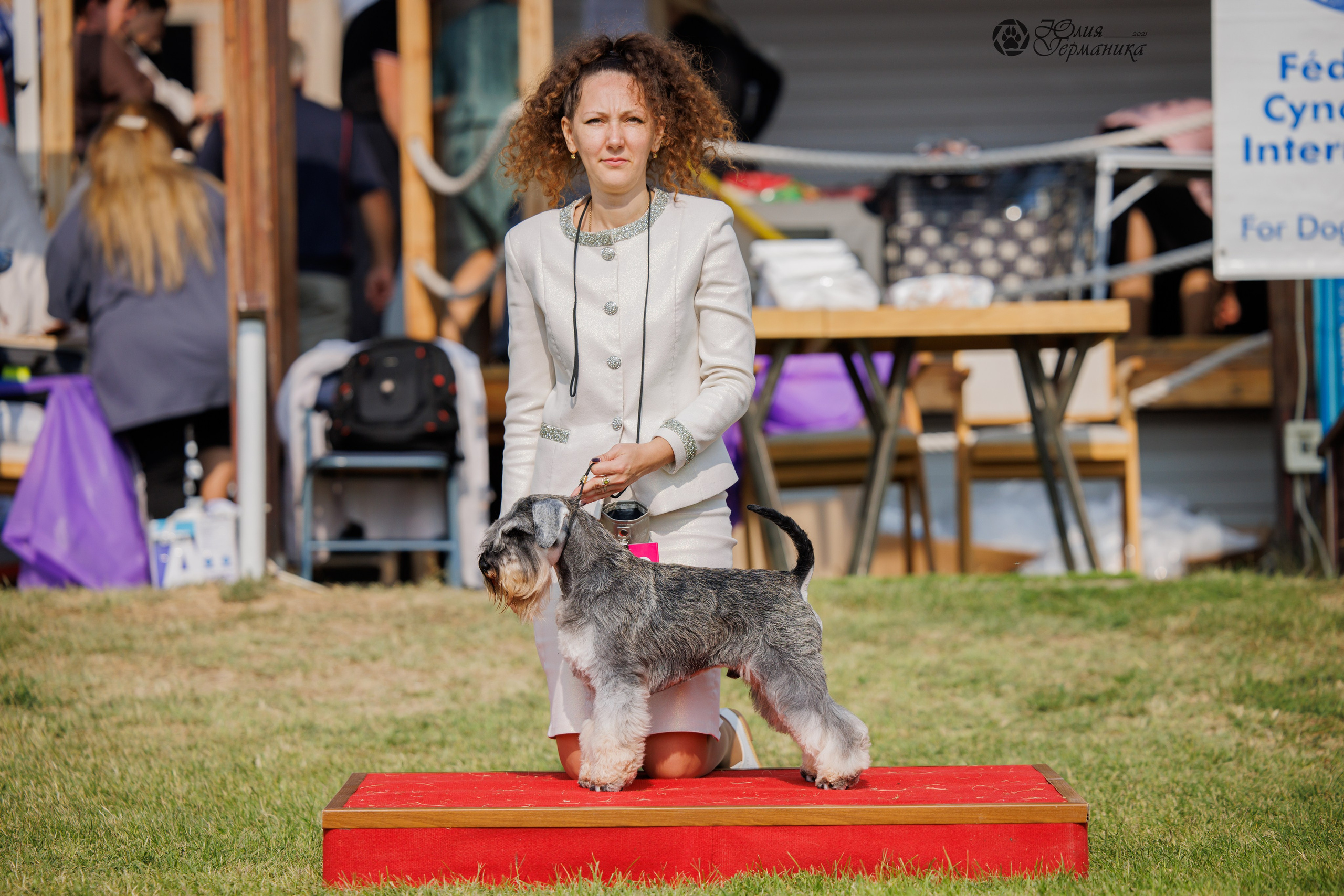 Армения,Ереван 3хCACIB 15-17.10.2024. Фотограф-анималист Юлия Германика