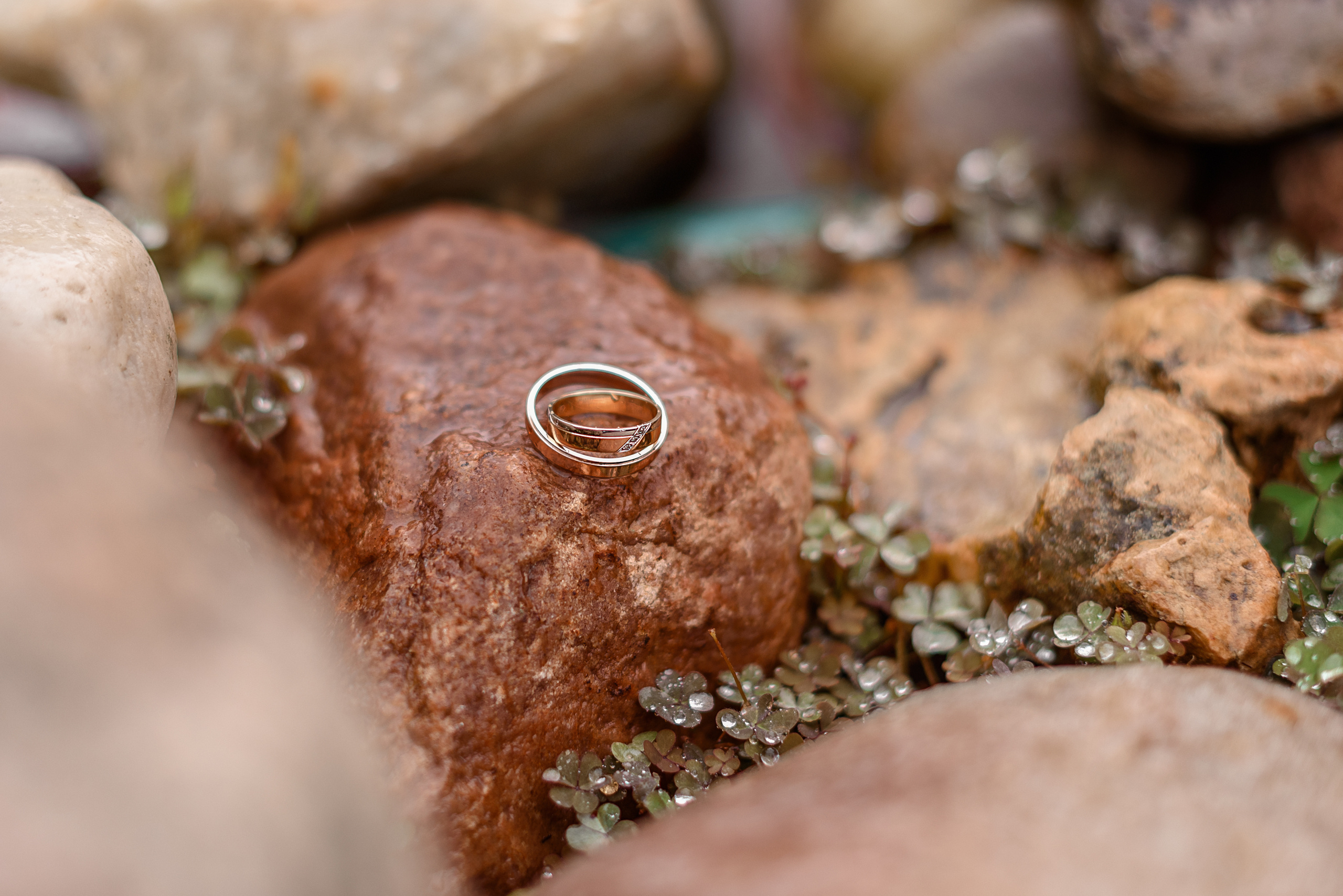 Свадебный и семейный фотограф Москва, Иваново Марина Праулинь (Плаксин