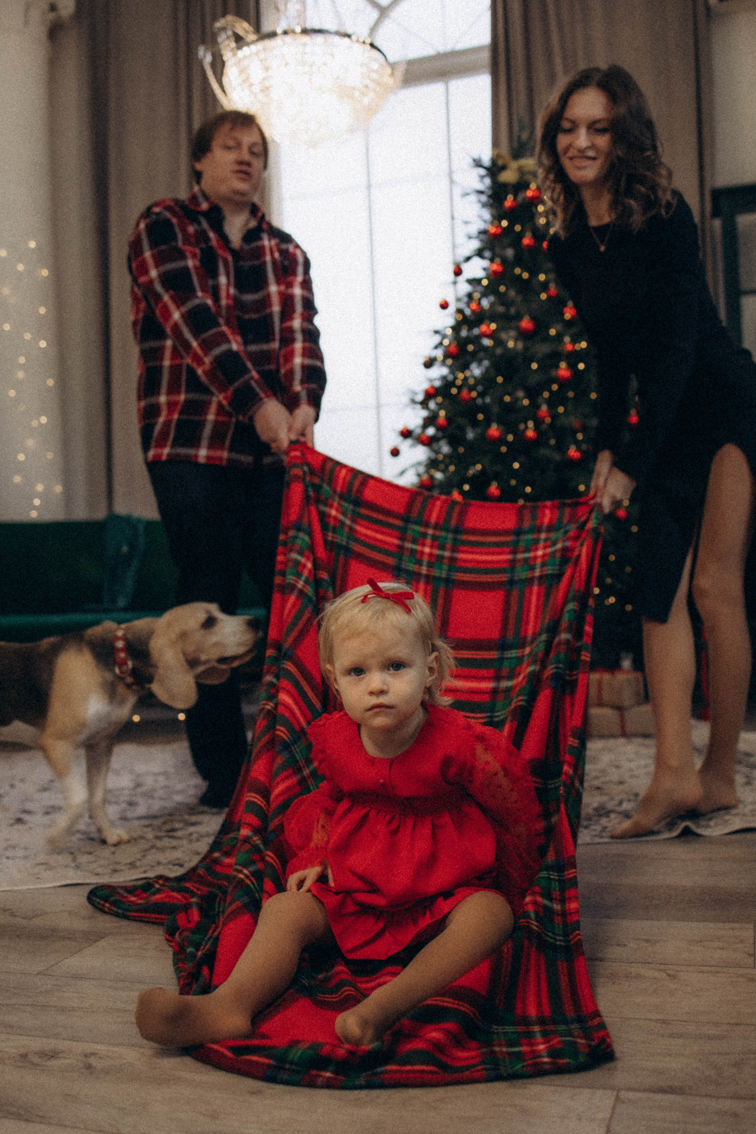 Семейная. Фотограф Немазенко Ольга