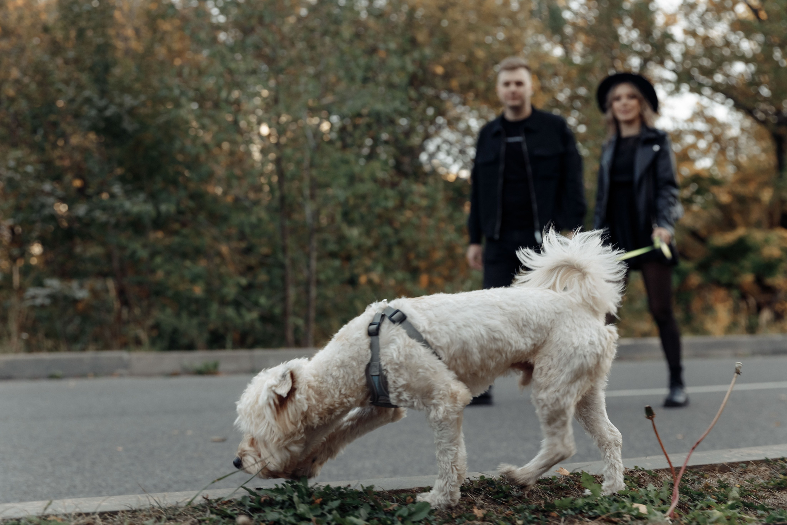 Irina and Andrey. Свадебный фотограф Казань Чебоксары Москва