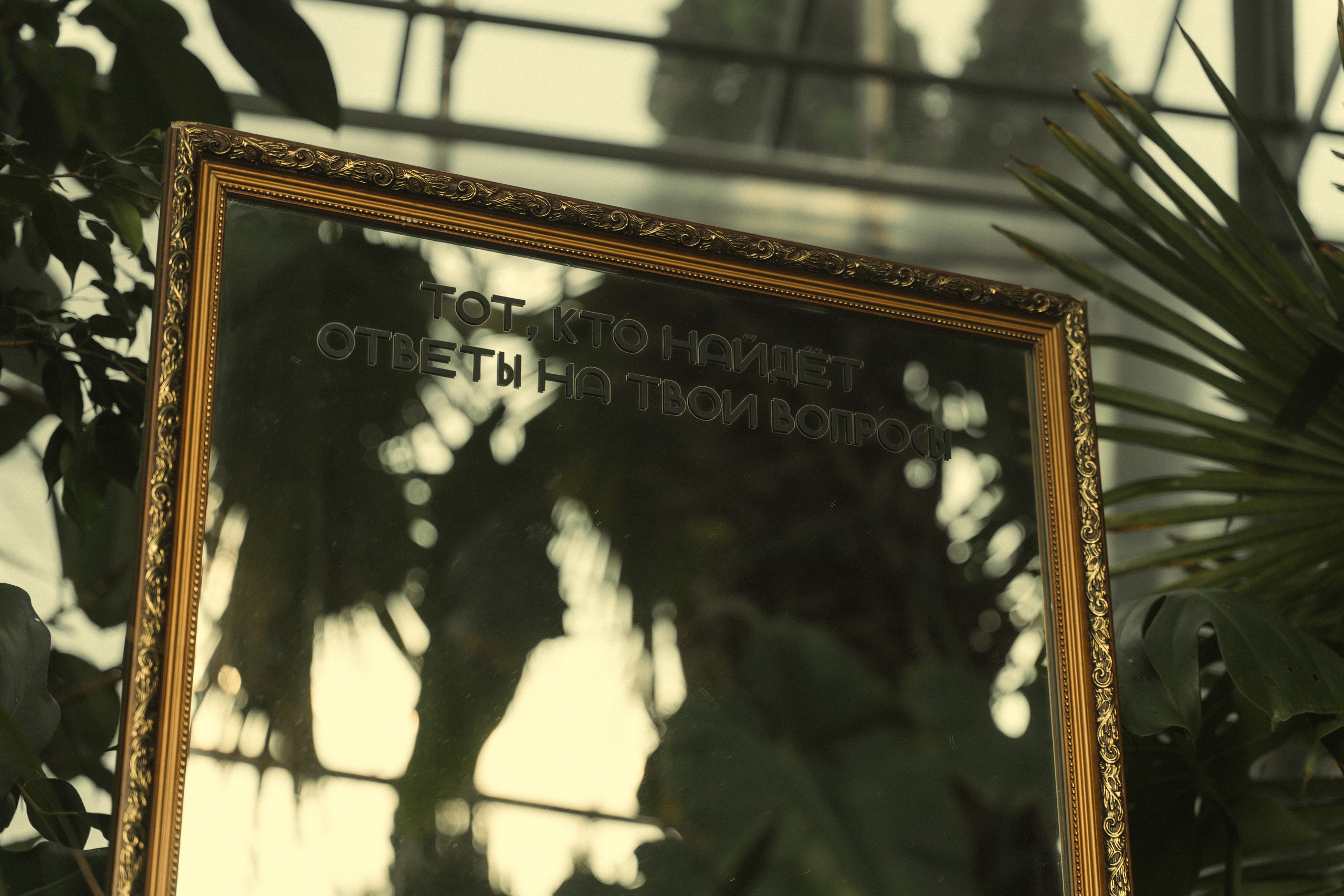 Свадьба Веры и Романа