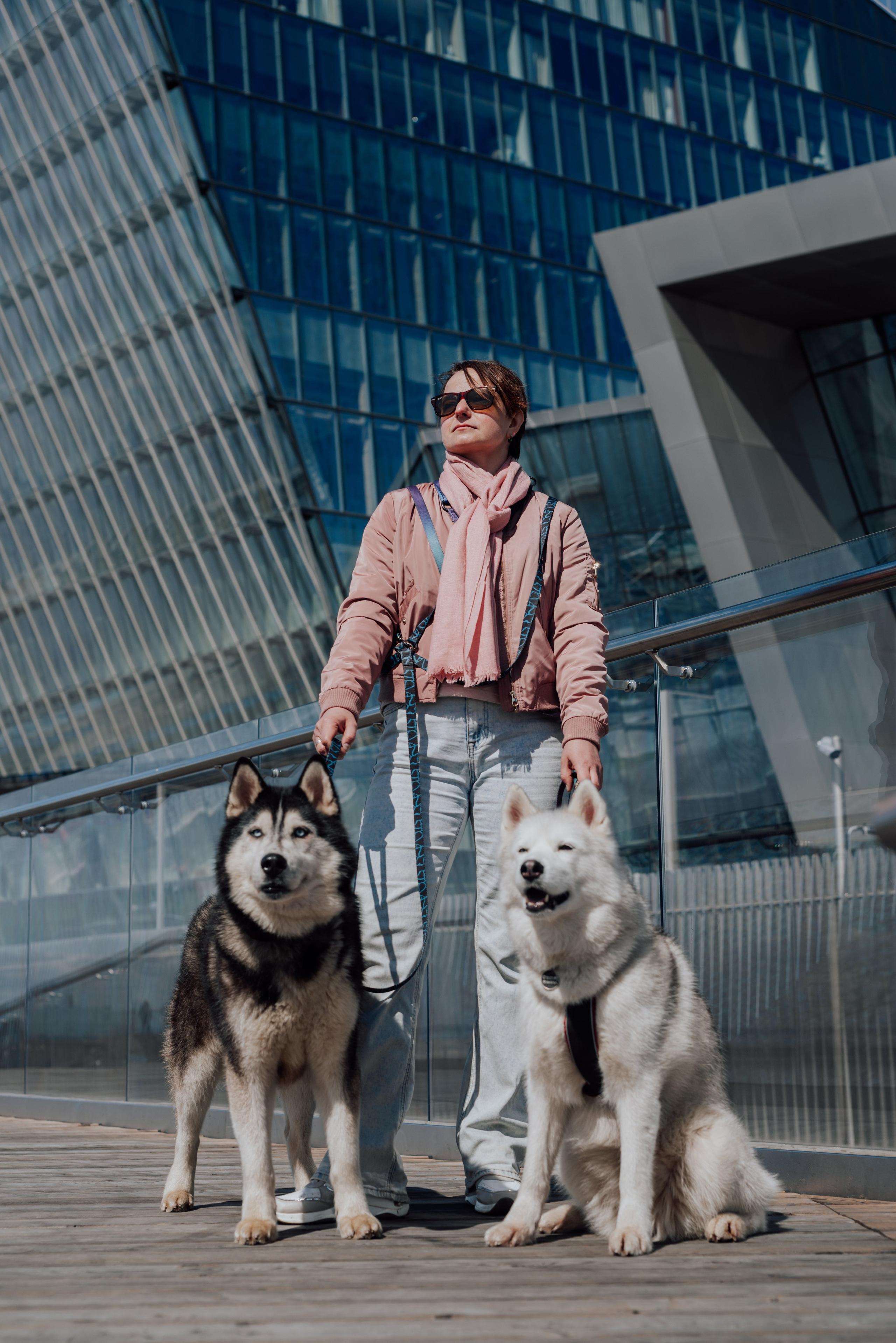 Фотодень с хаски. Фотограф в Санкт-Петербурге и Ленинградской области