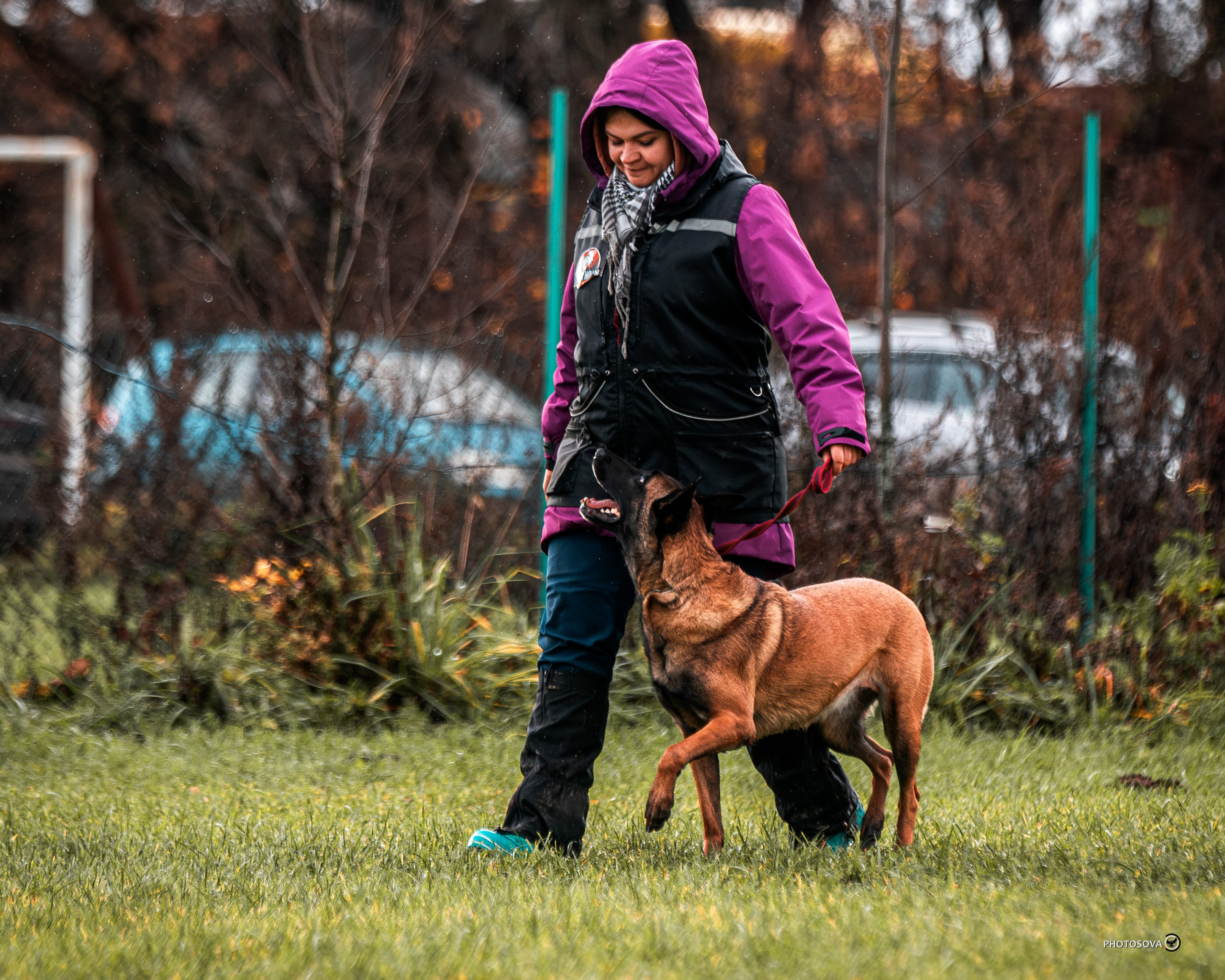 МЫ — КОМАНДА (соревнования) OKD, BH, IBGH, IGP. Фотограф-анималист, семейный фотограф в Москве и Подмосковье. Фотосъёмка кинологических дисциплин