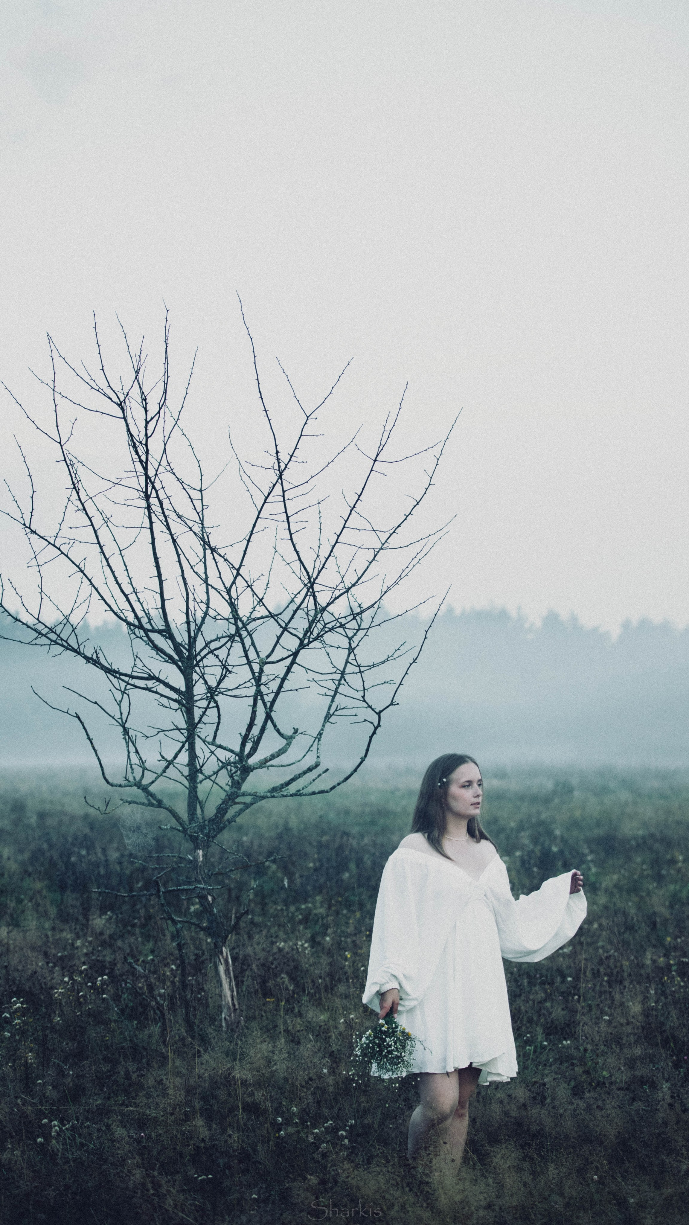 Аня и Гас. Главная