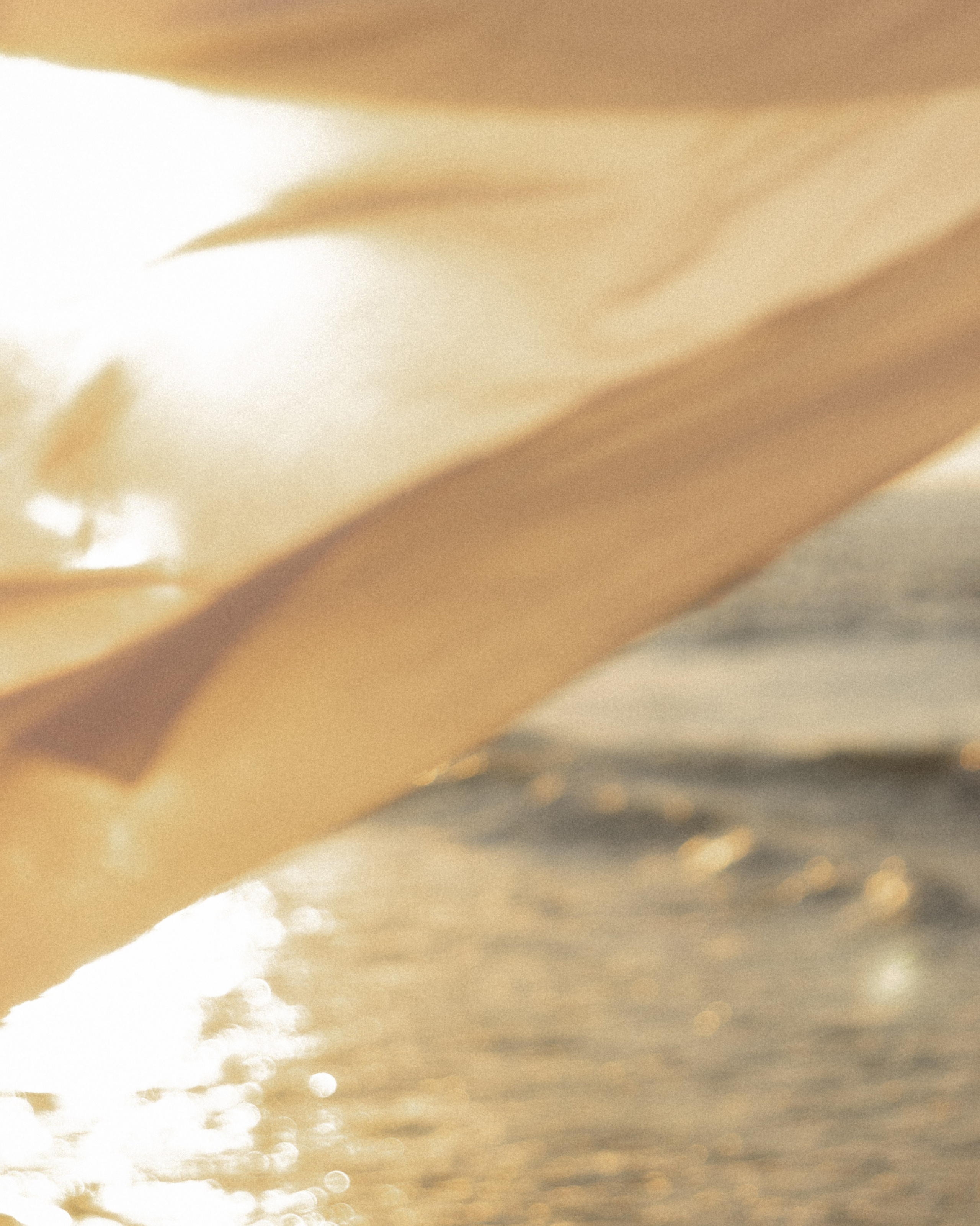 Фотосессия в Зеленоградске. Портретный фотограф в Калининграде Рита Холодова