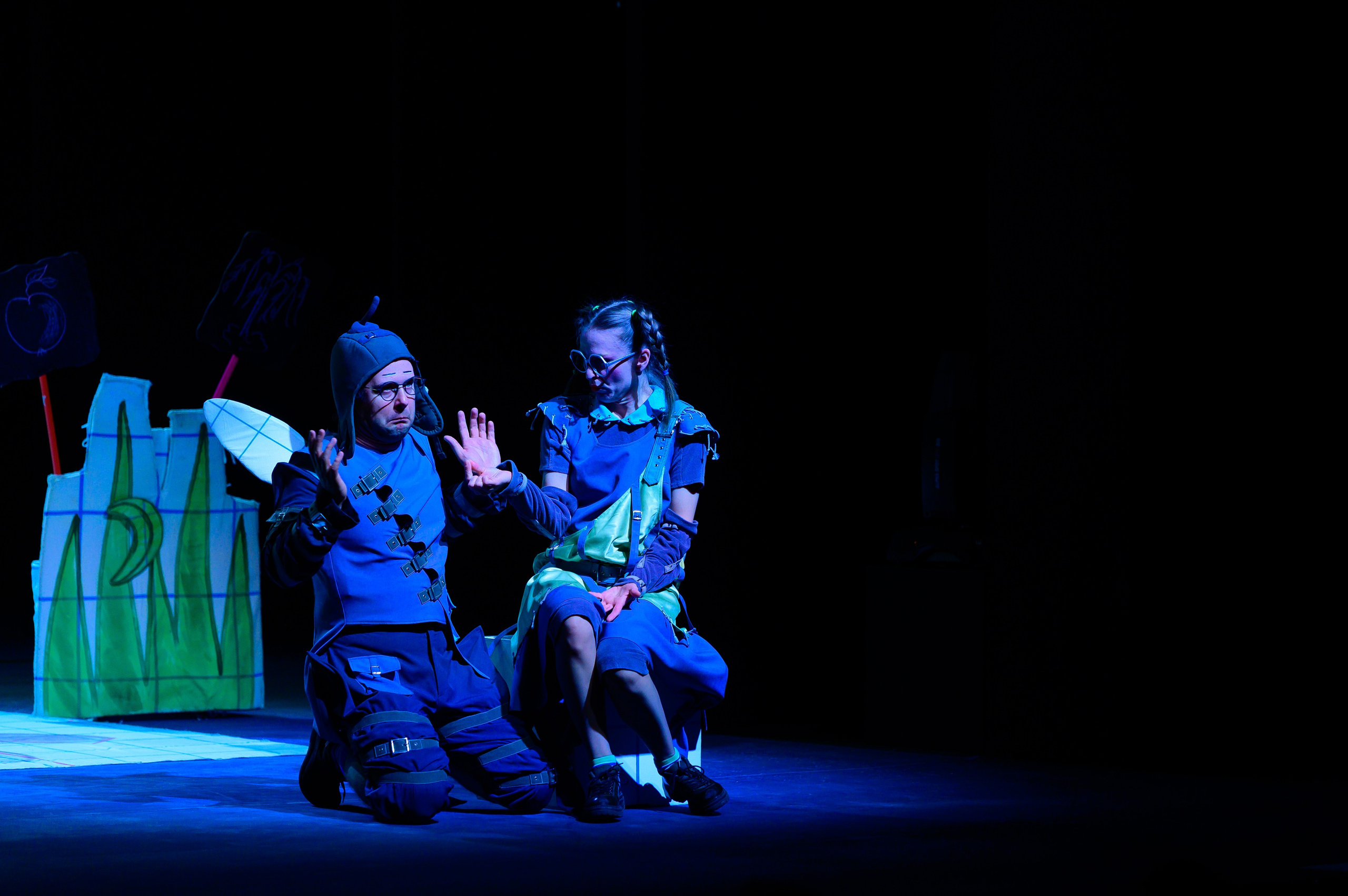 Муха Цокотуха. Фотоуслуги, услуги фотографа, фотографирование важных событий