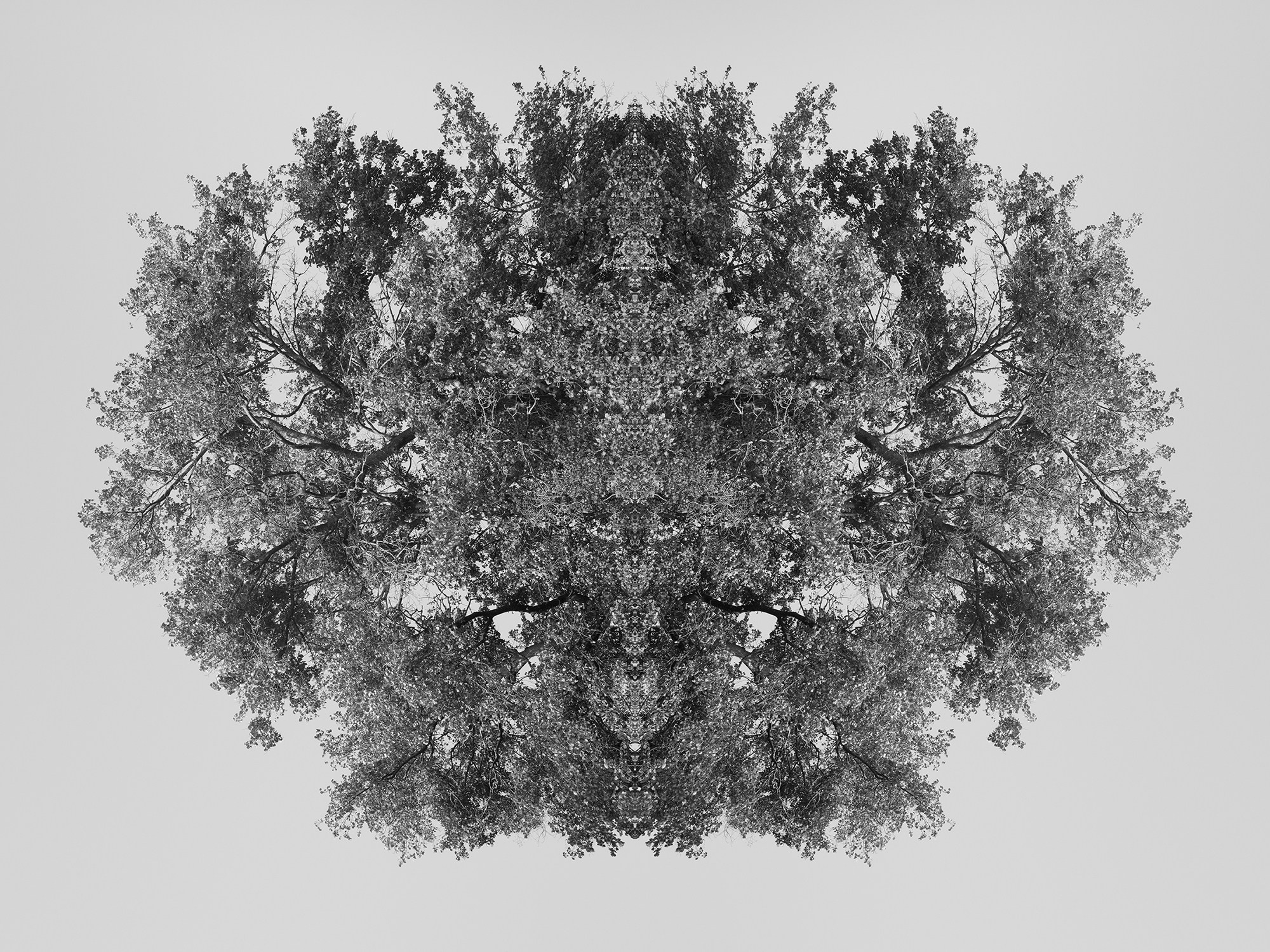 Острова. Анна Порошина — междисциплинарный художник