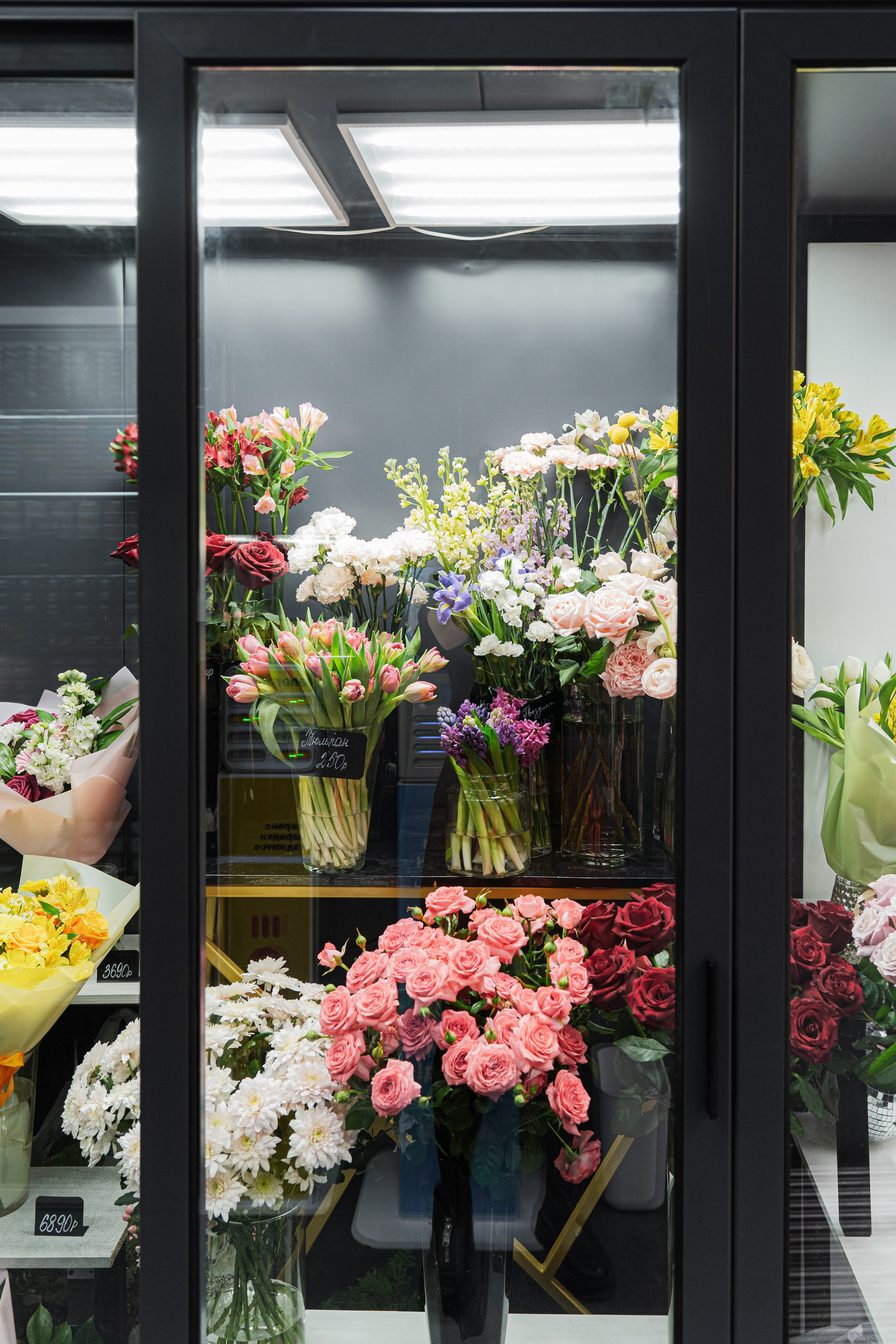 Регион холод. Елена Пашкевич, фотограф, Москва
