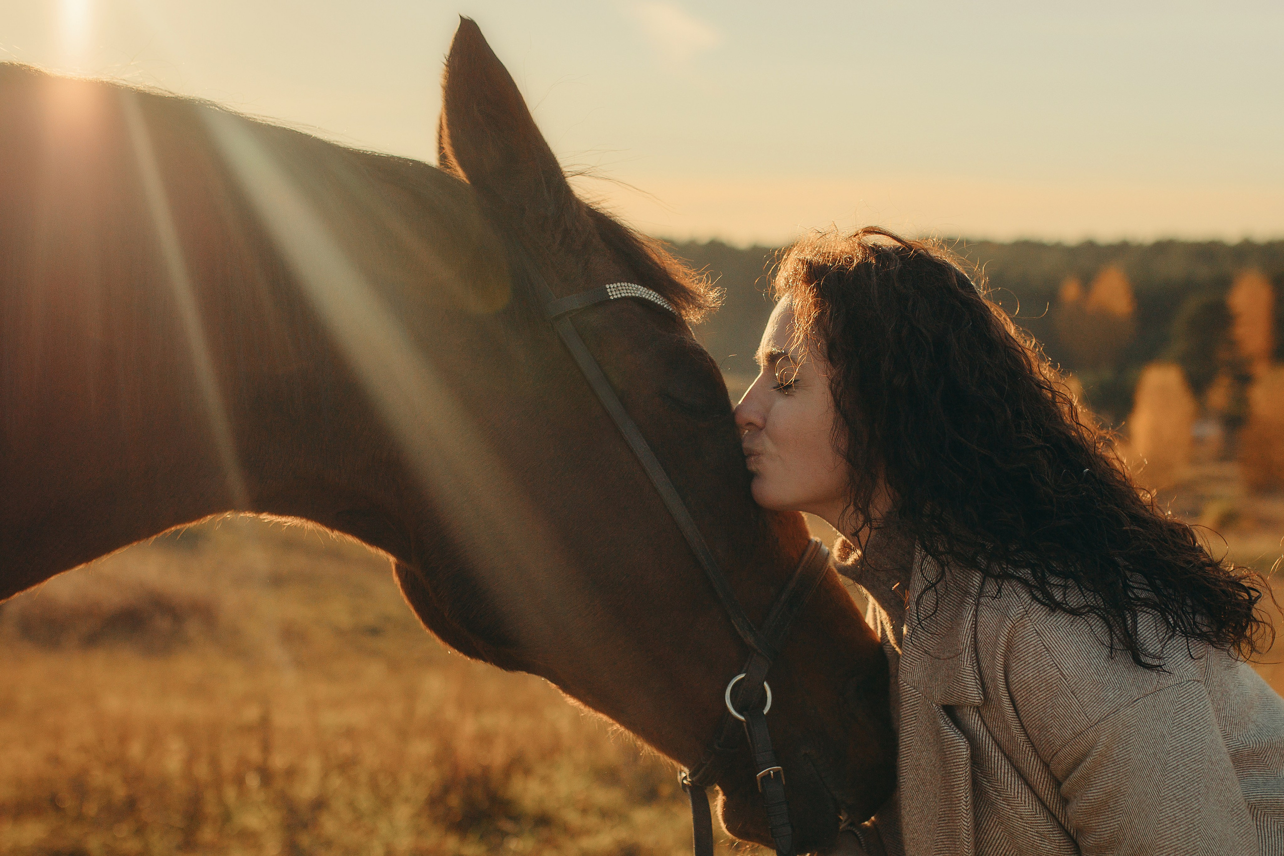 Наши пушистые дети. Главная