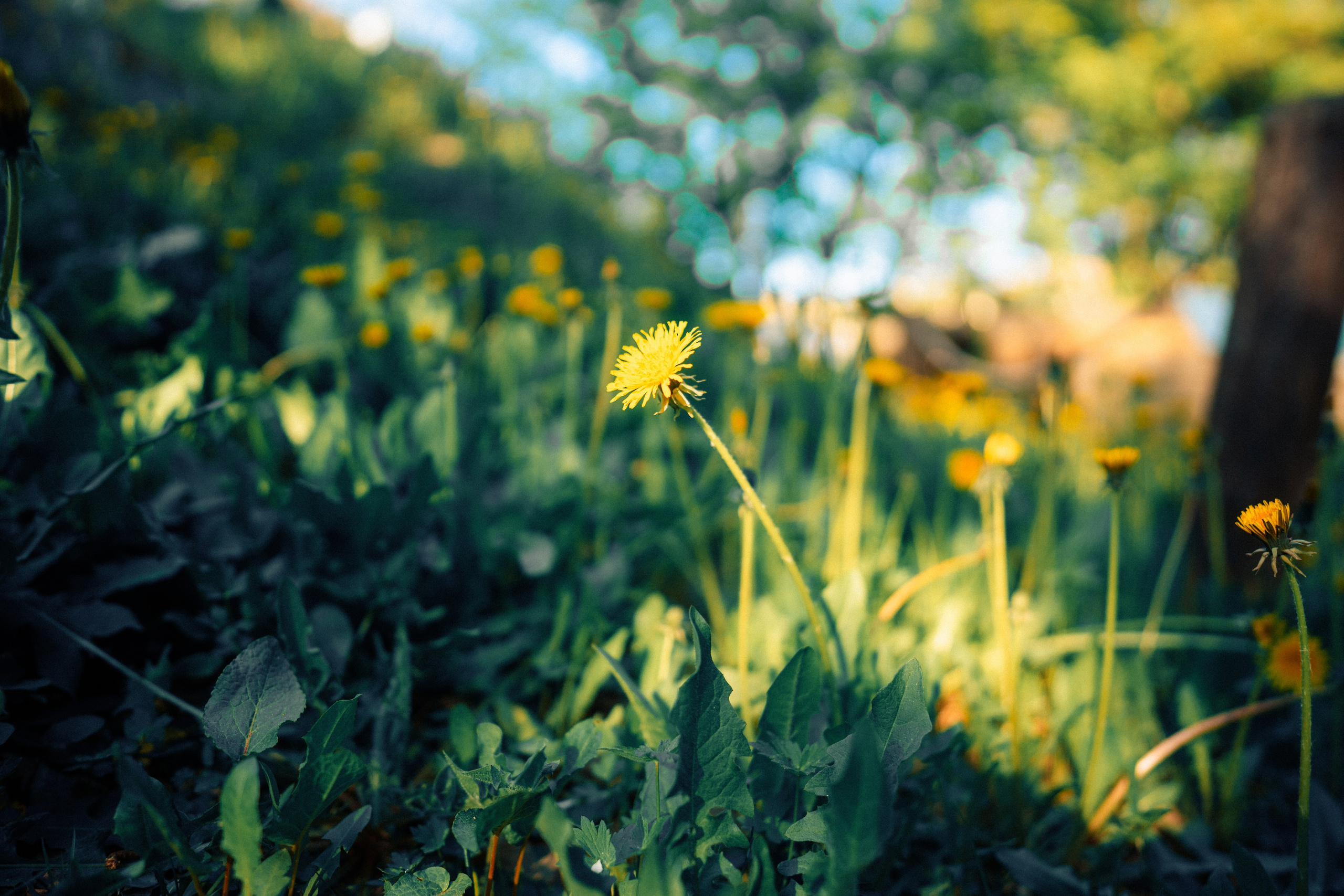 地方历史博物馆. Ivan Zaitsev (IZIART) — 通过照片和视频创建文化代码