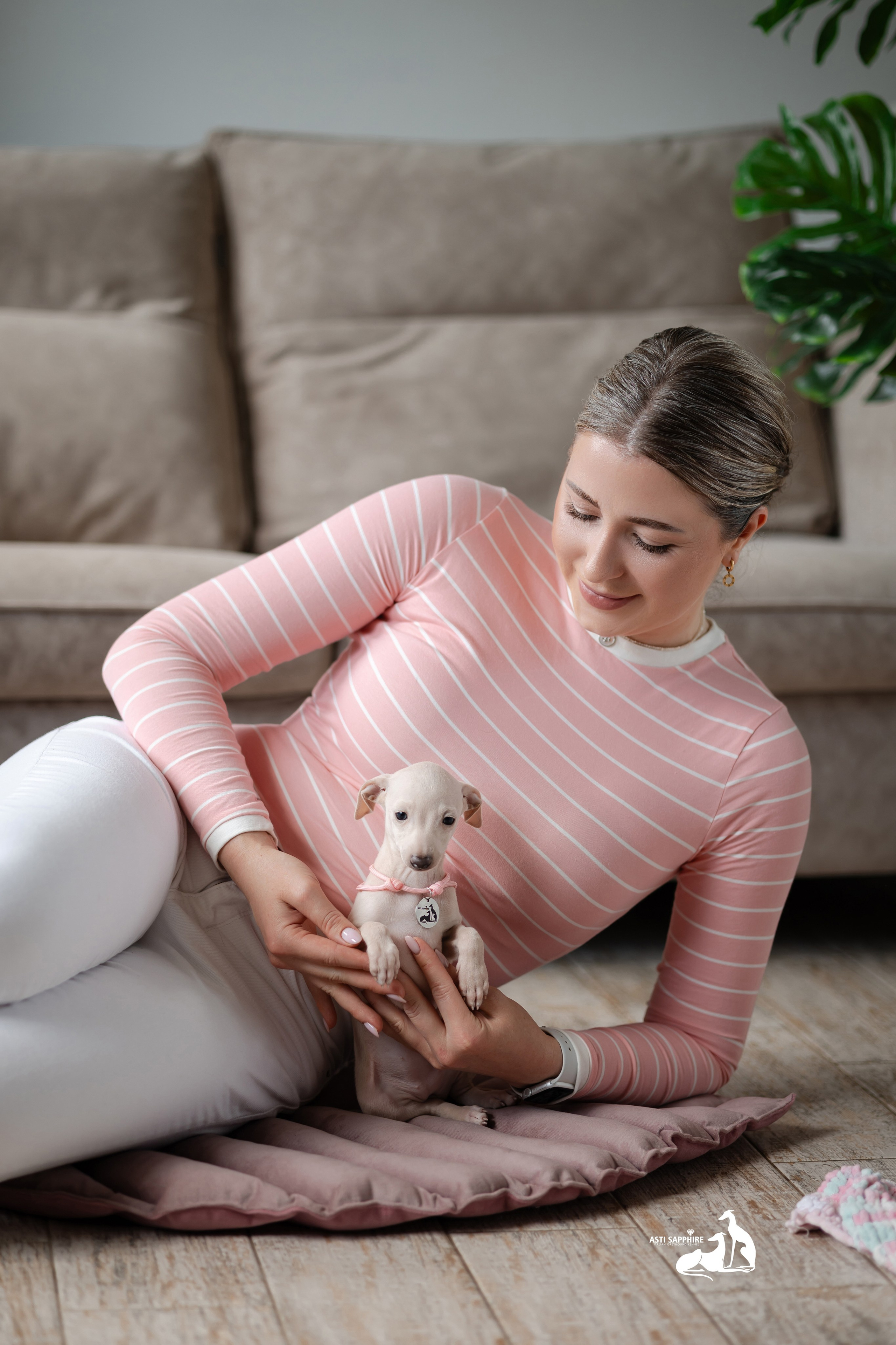 Белоснежные. Professional Italian Greyhound Kennel RKF/FCI ASTI SAPPHIRE 💎 Sochi|St. Petersburg