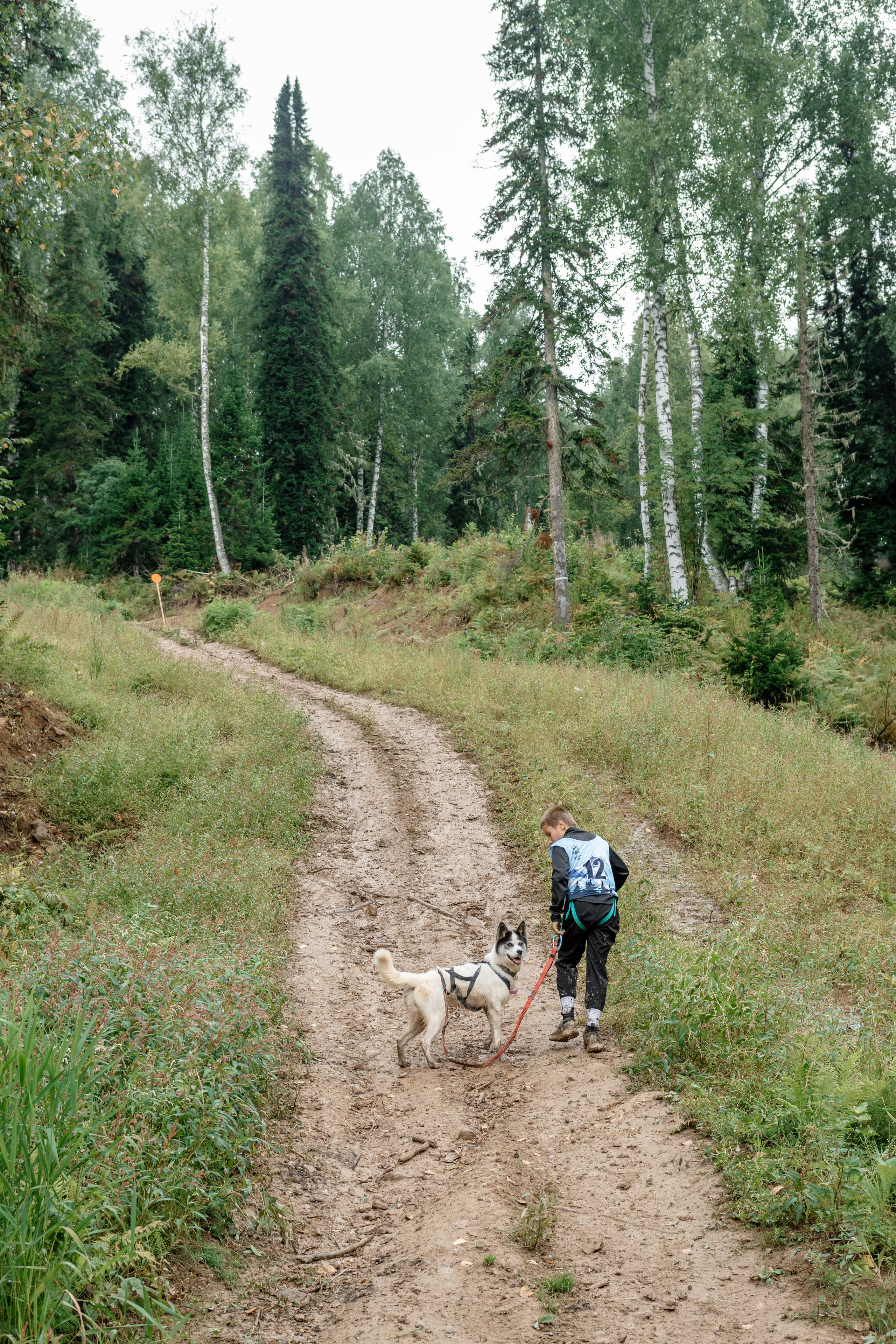 Дог-треккинг