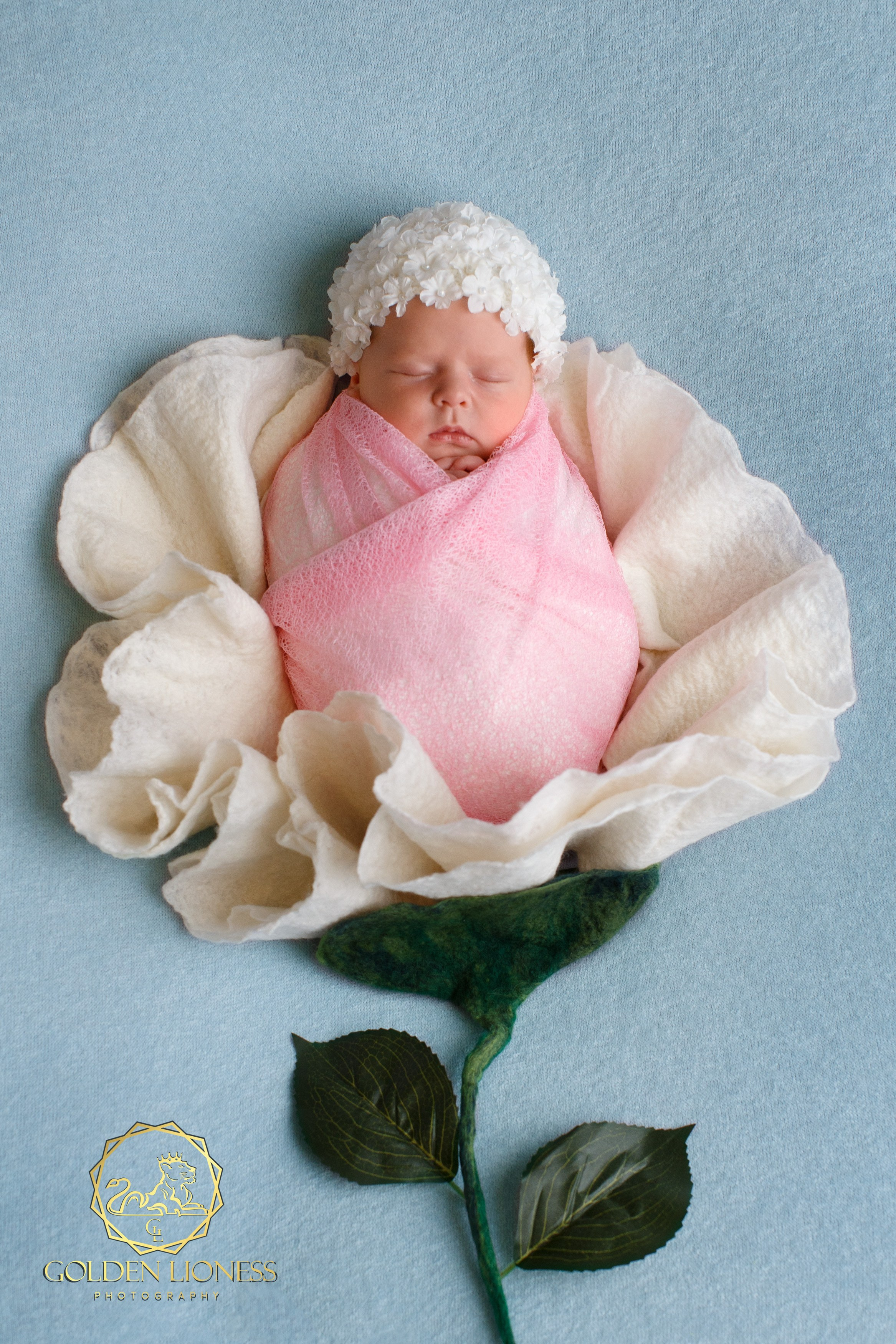 Галерея. GoldenLioness | Фотосессия новорожденных детей (newborn) Москва