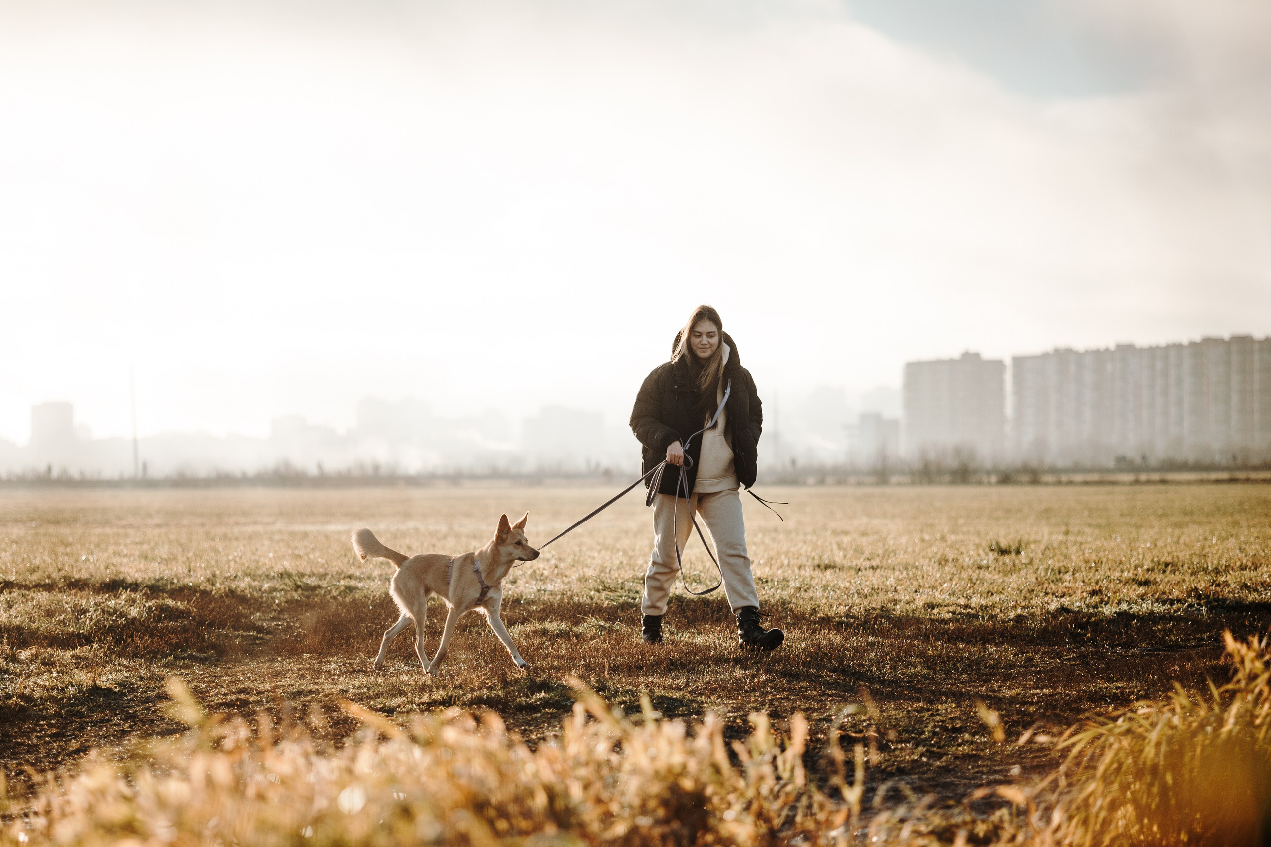 Юля и Джесси. Фотограф — Анималист | Санкт-Петербург