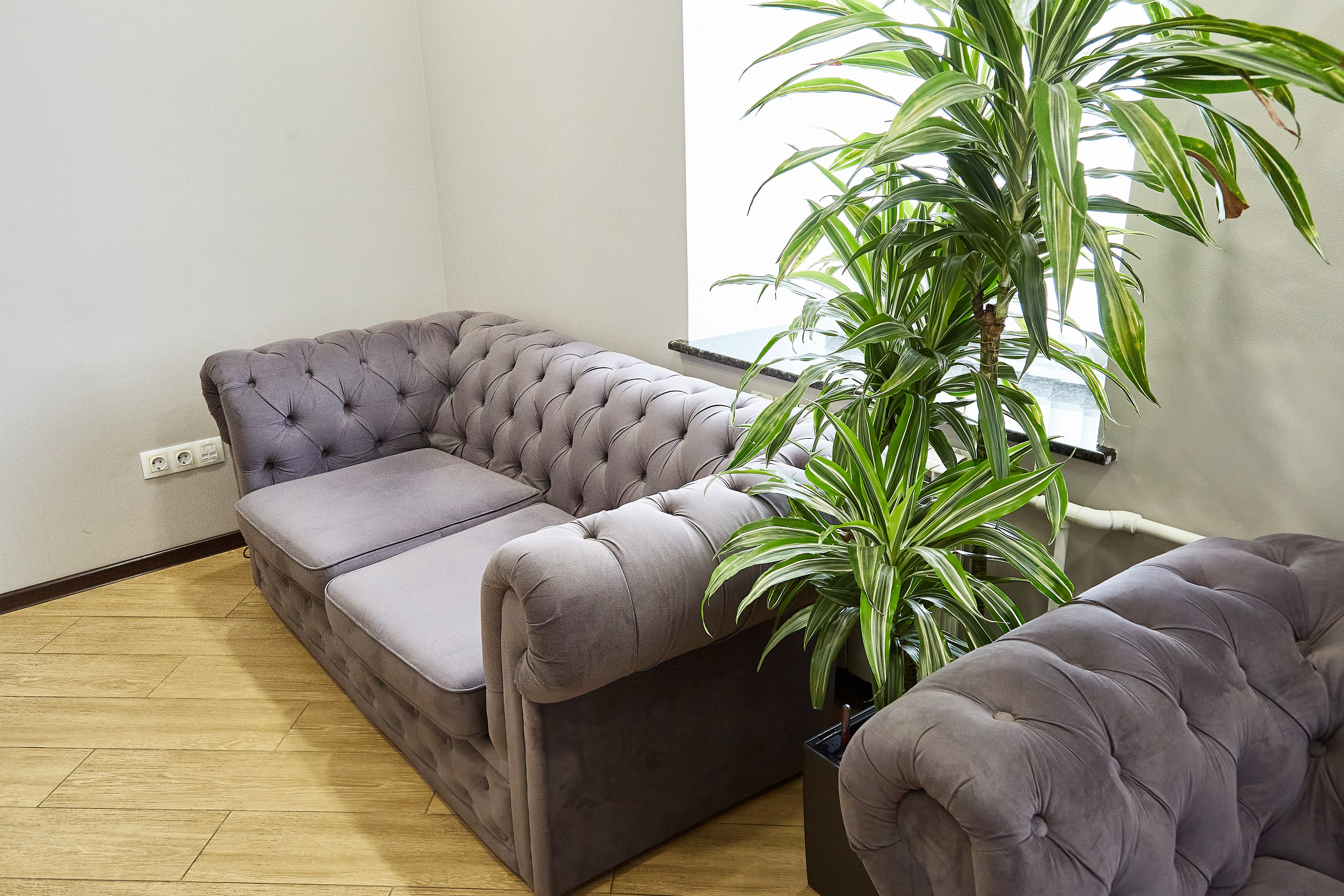 Студия удаления тату A7STUDIO. Фотограф Анастасия Леонтьева Санкт-Петербург