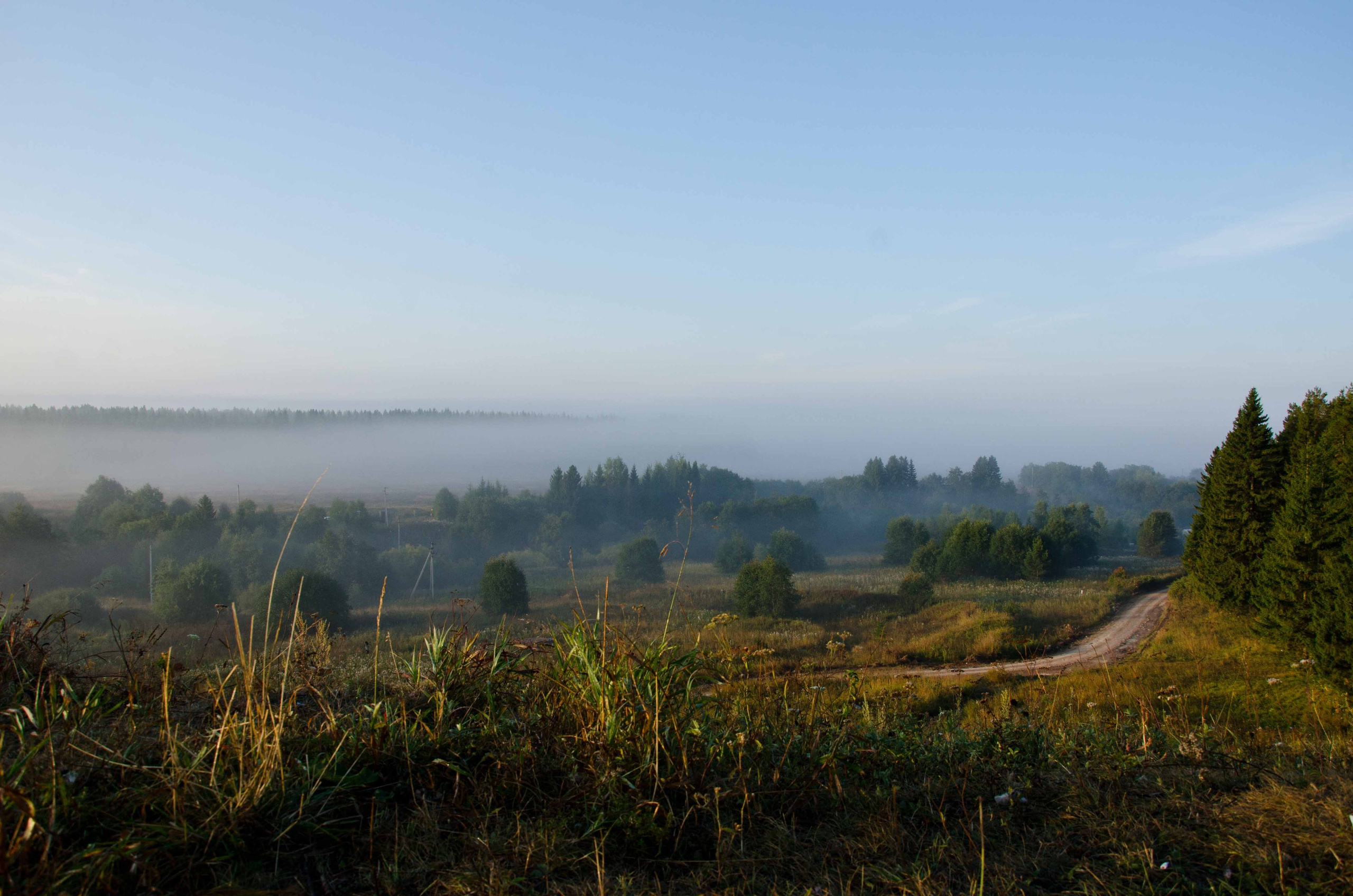 Проекты. Дракон и Ведьмочка — творческая коллаборация
