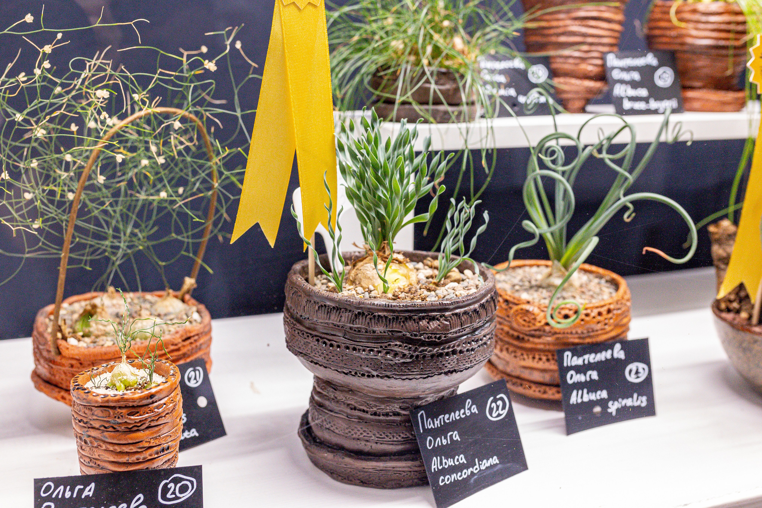 Монстериум 11–12 октября. Александра Куликова фотограф, Москва