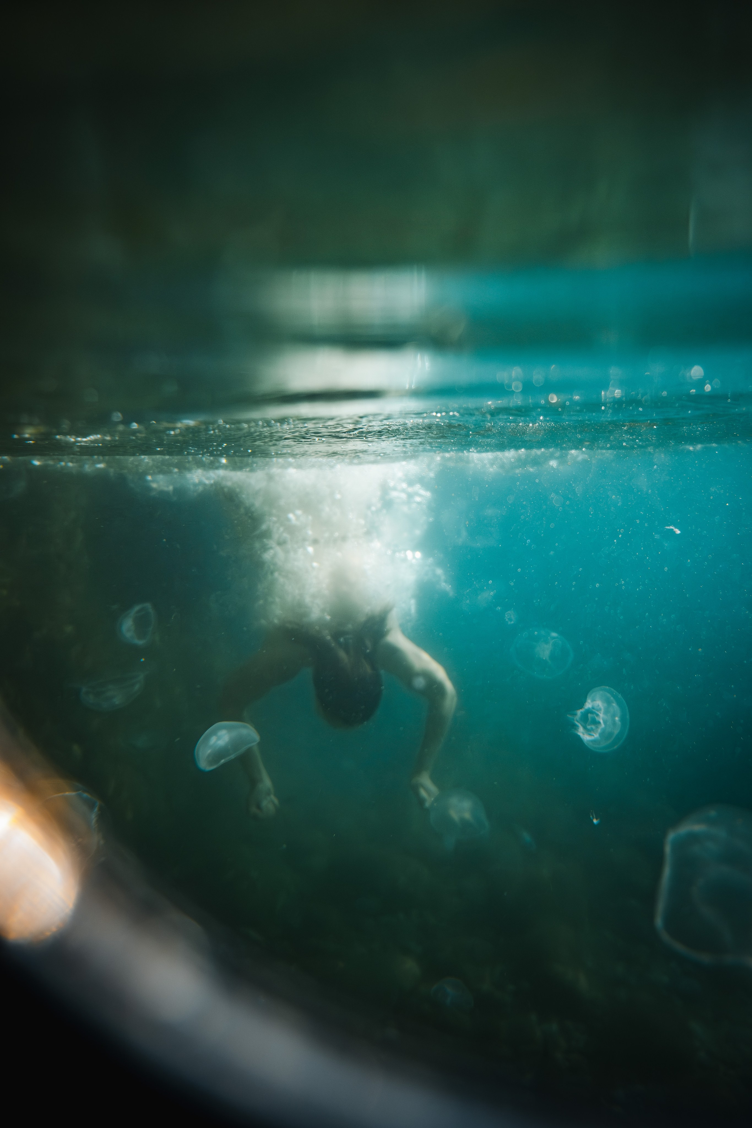 Снимал под водой на Инжире