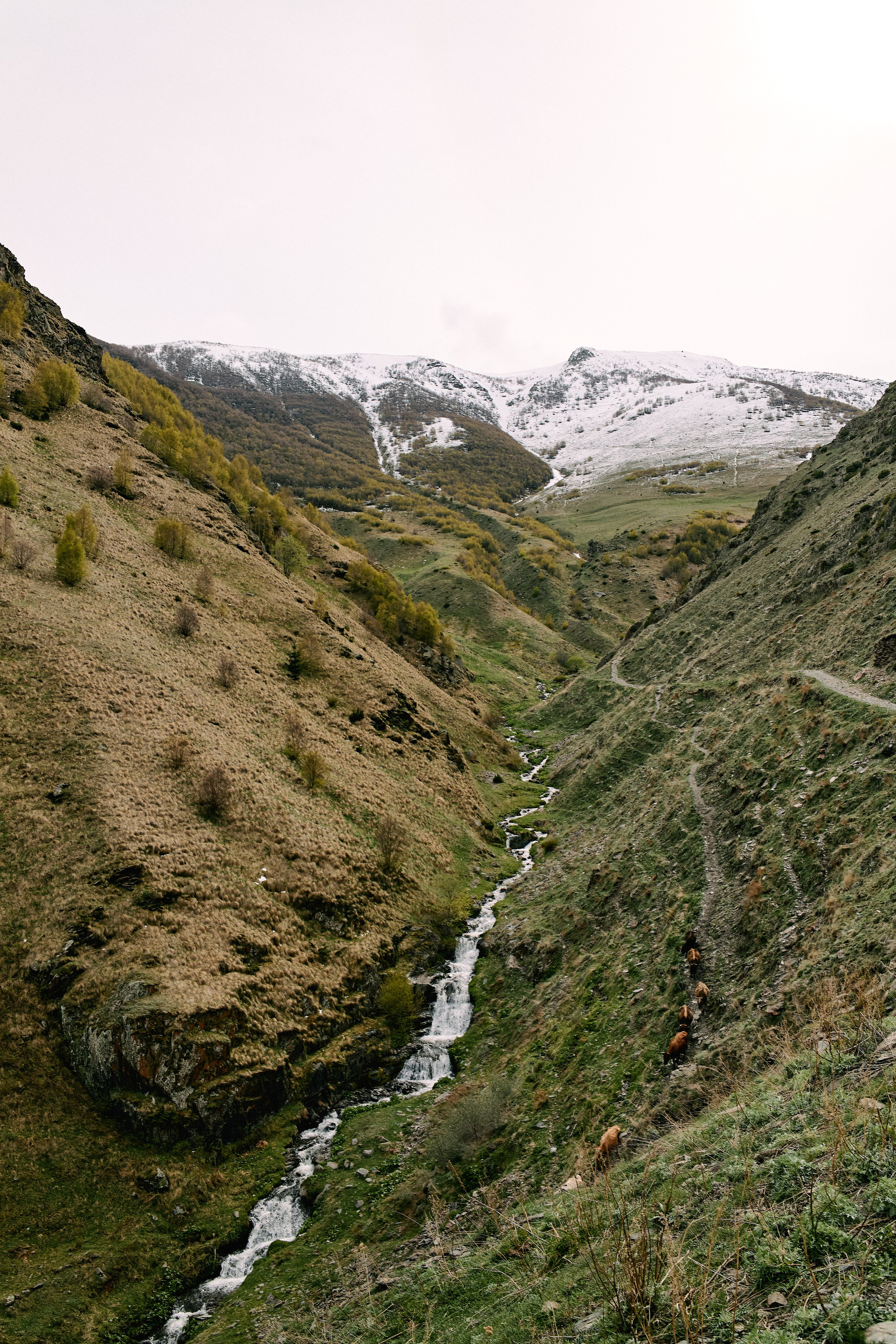 Грузия. Профессиональный Фотограф во Владимире, в Москве и в Суздале — Полина Романычева