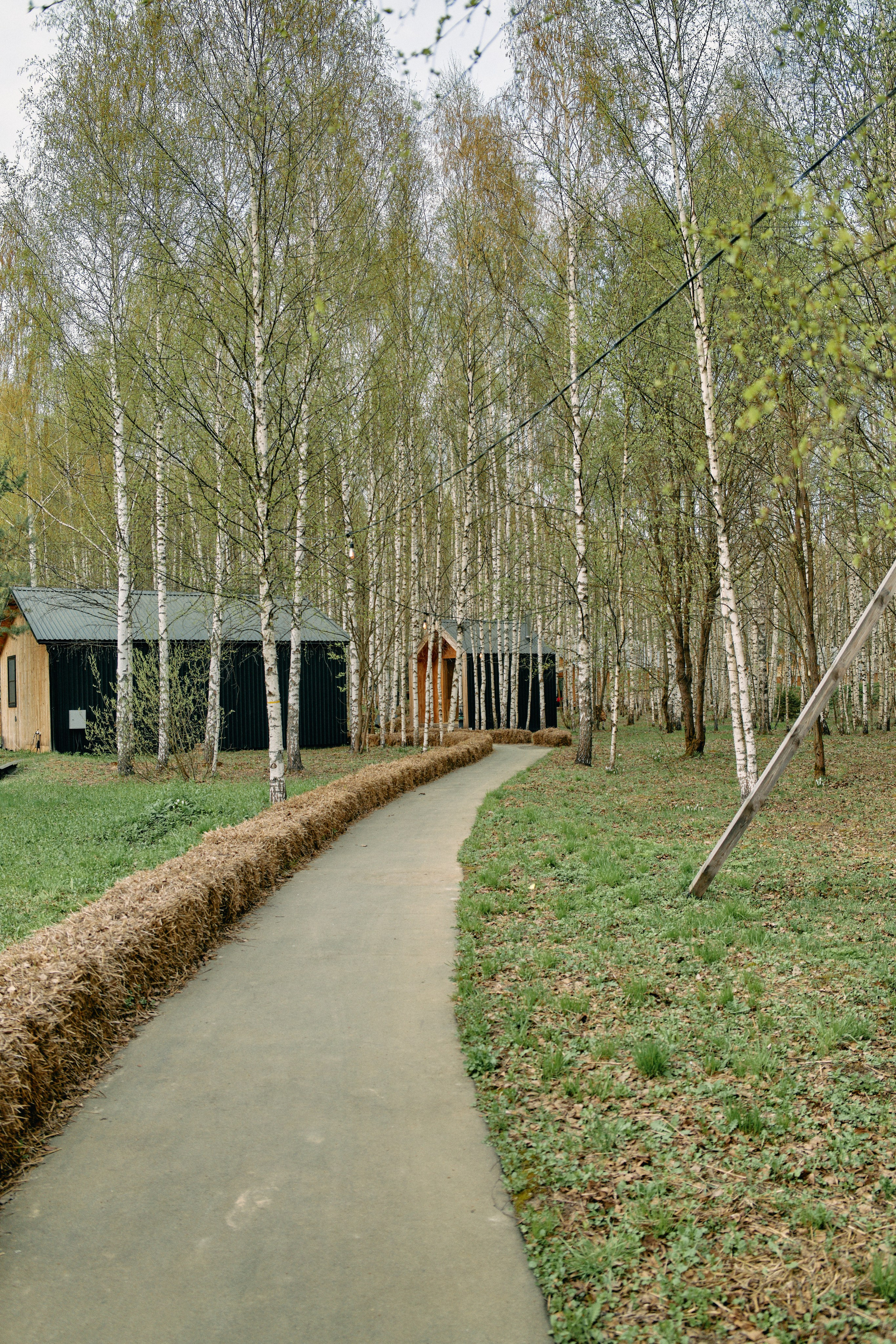 Бутик-отель Поле летом. Профессиональный Фотограф во Владимире, в Москве и в Суздале — Полина Романычева