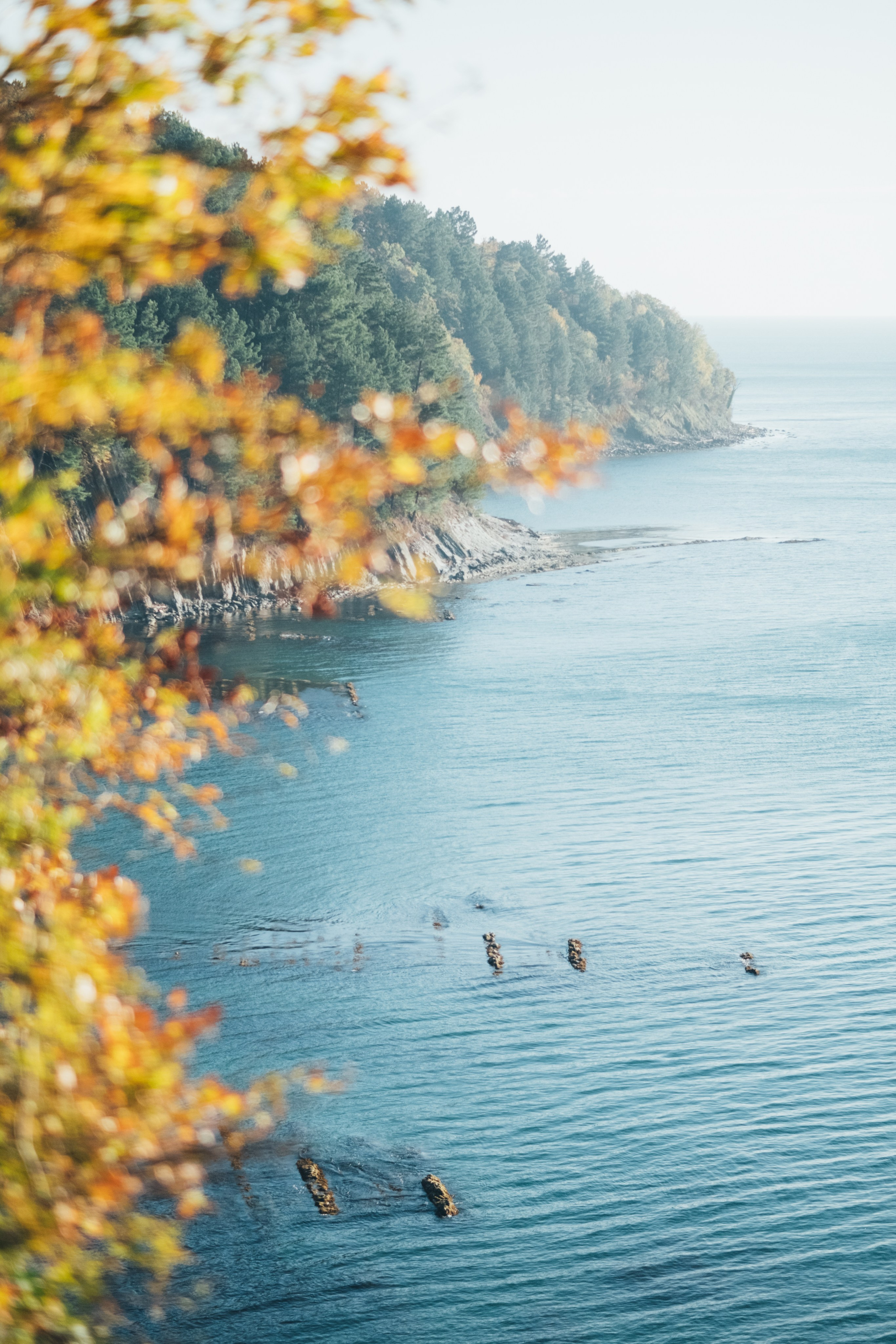 Туапсе. Свадебный Видеограф Фотограф в Сочи