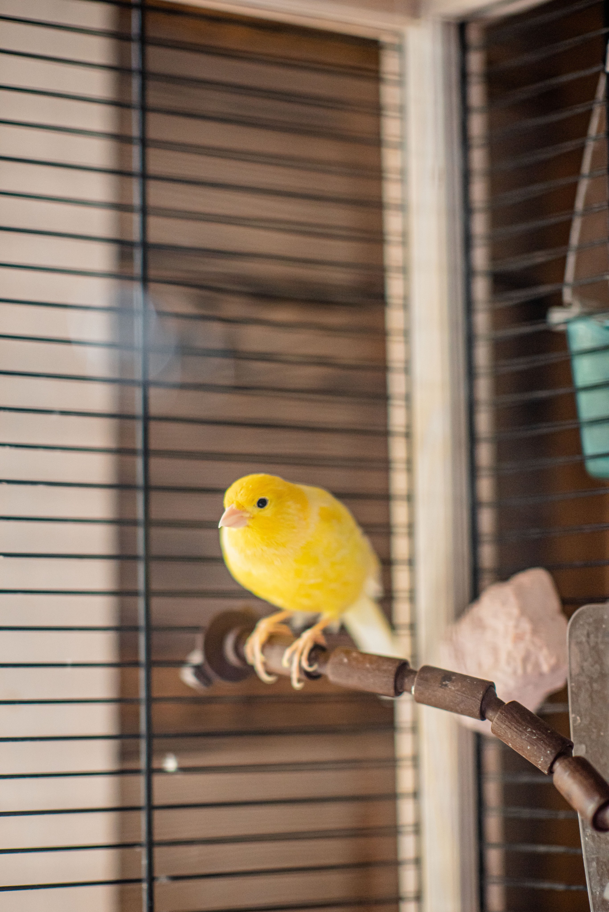 Gridchinhall Gallery. Фотограф в Москве