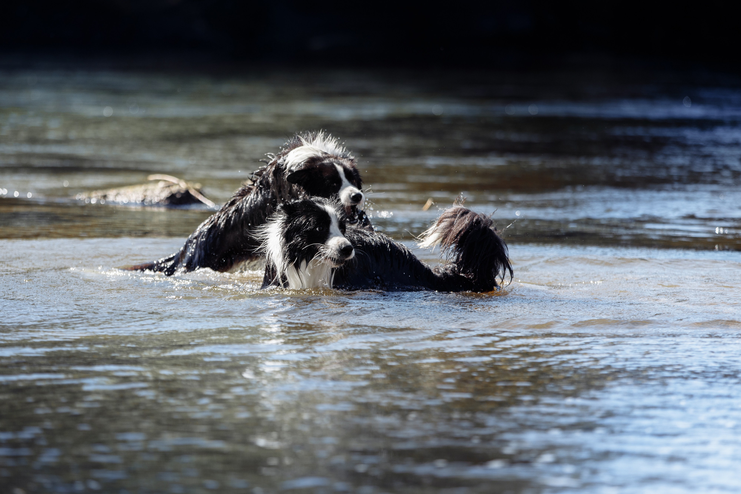 Водяные в Новотроицке. О нас