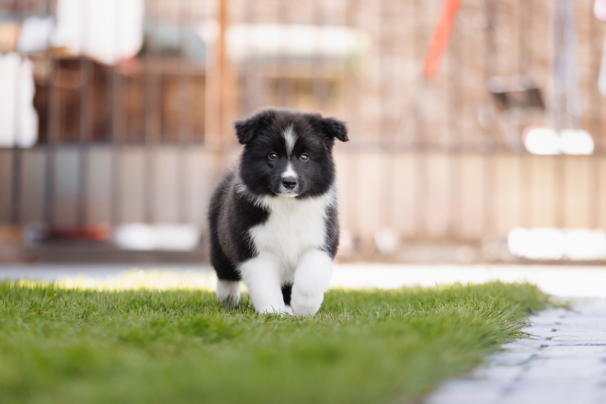 Трава у дома. О нас