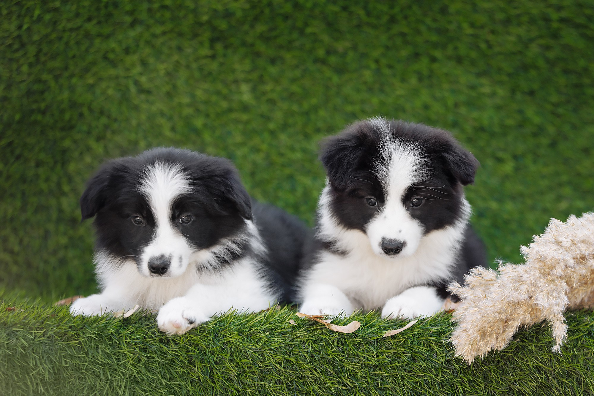 Новый лист. О нас