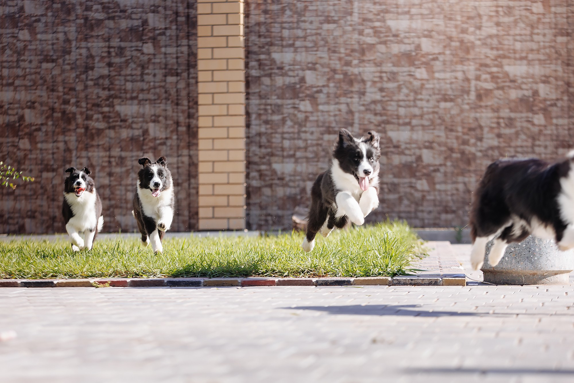 Трава у дома. О нас