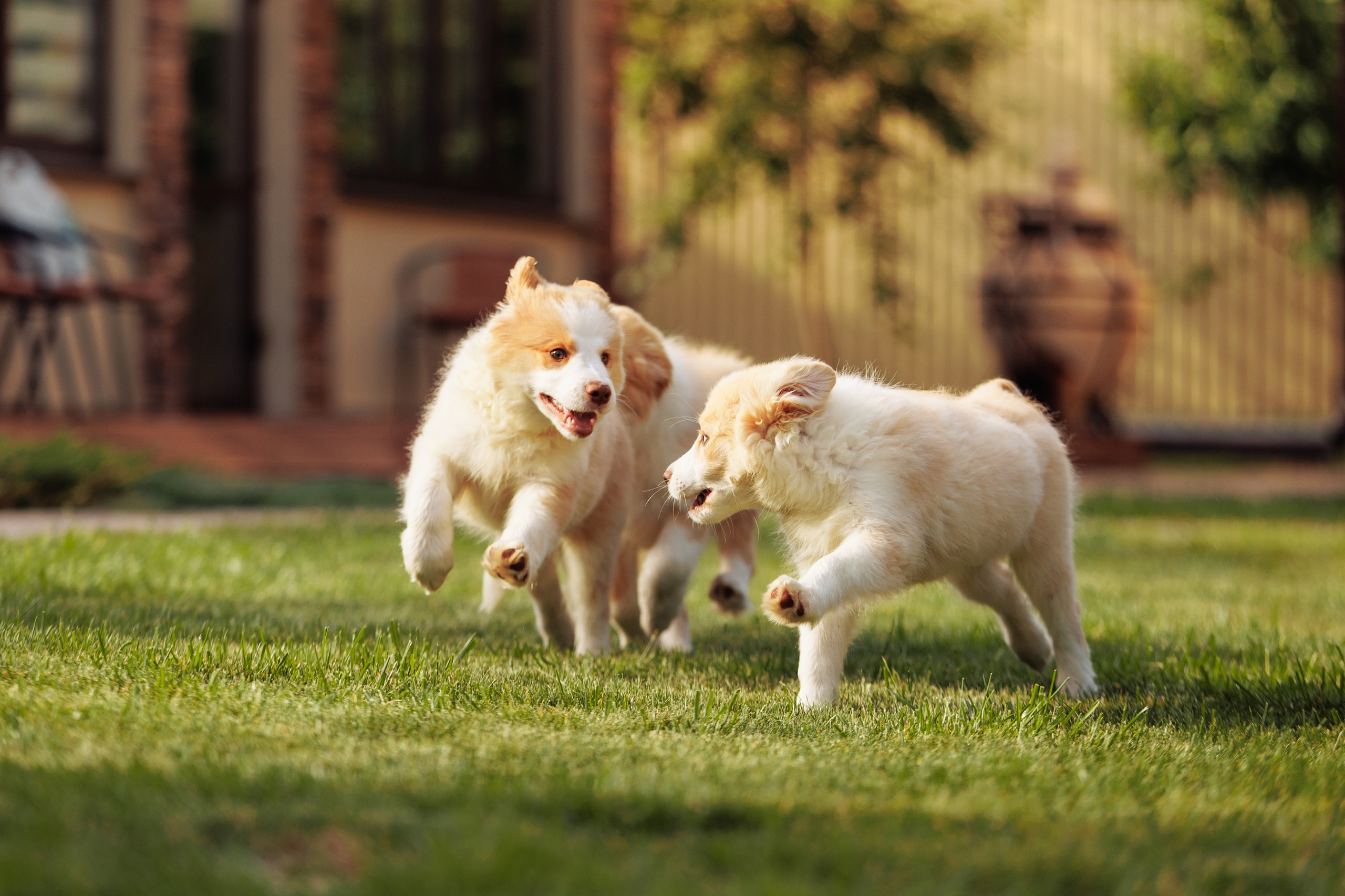 СОлнечные. О нас