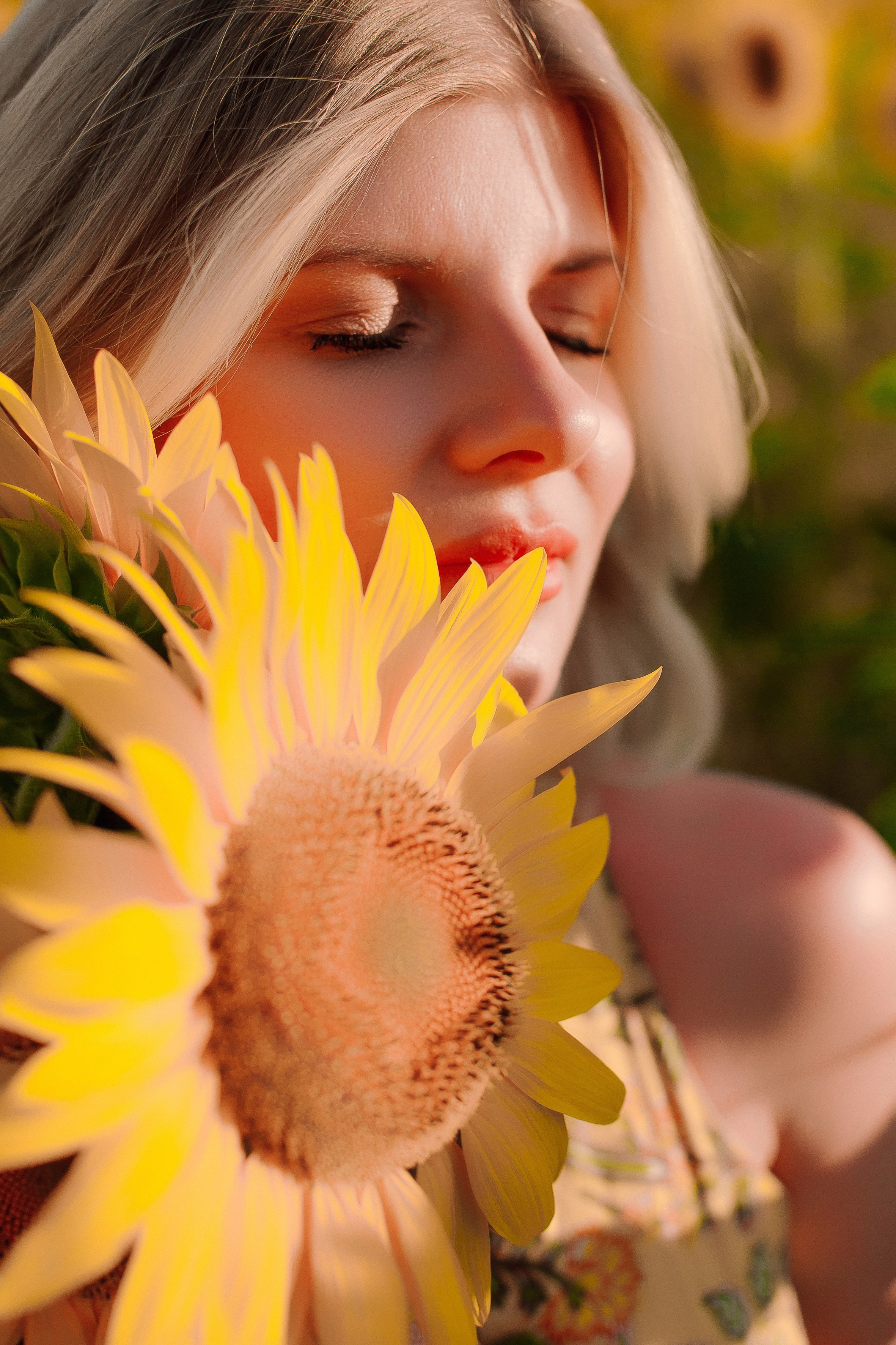 Подсолнухи. Выпускные альбомы Натальи Бутко: Новороссийск, Анапа, Геленджик