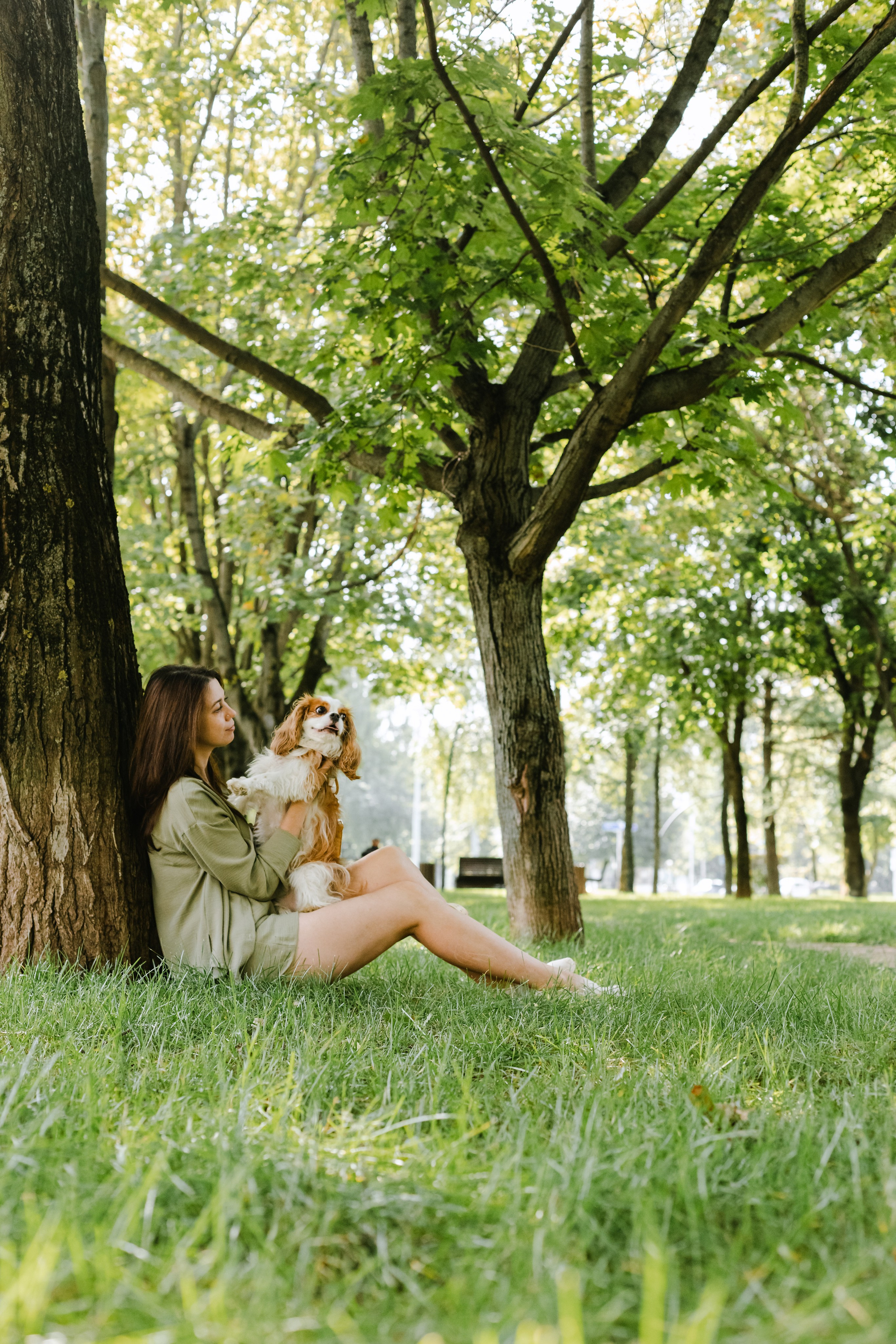 Фотопрогулка на бульваре. Фотограф-анималист Татьяна Степанова