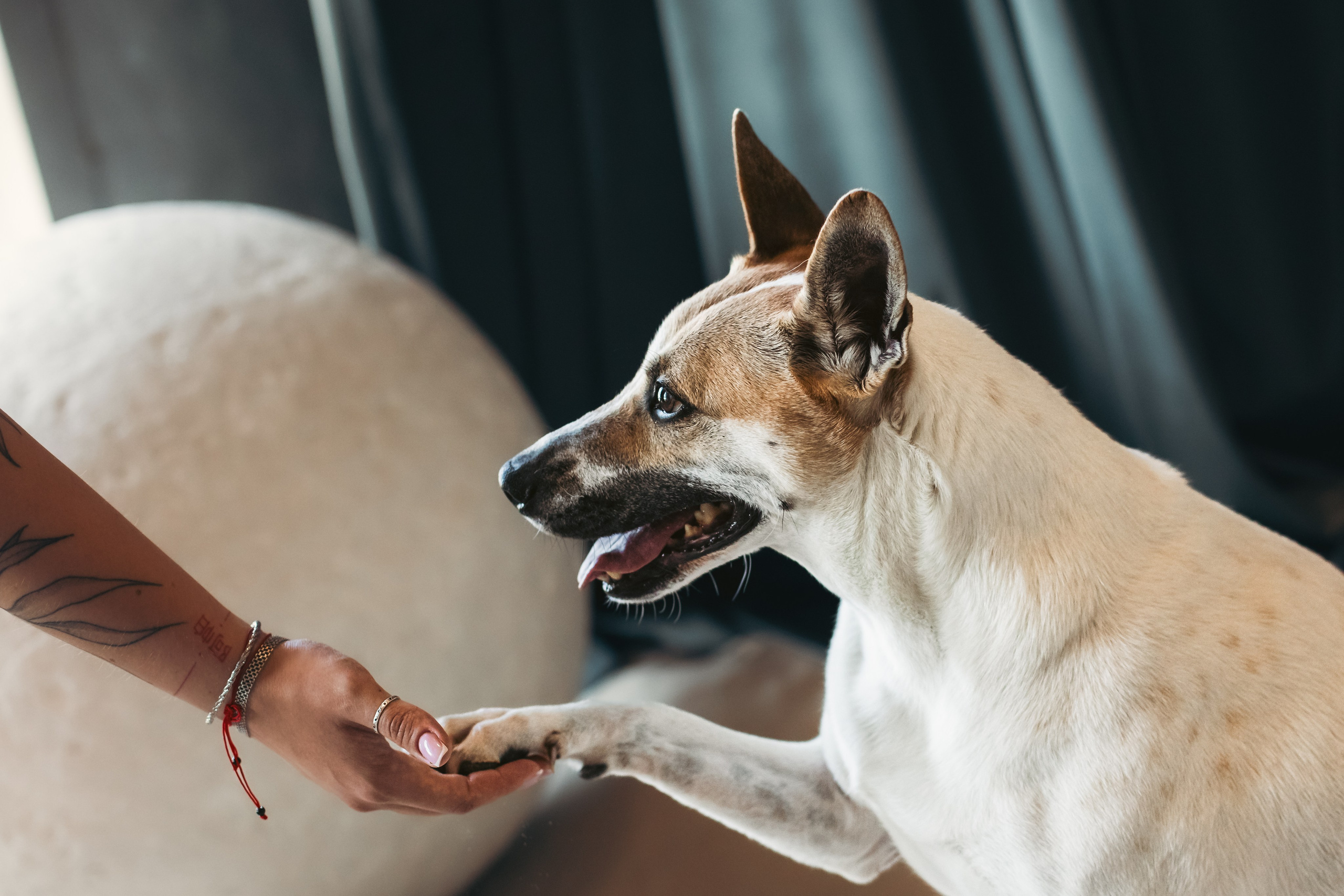 Полина и Альвильда. Фотограф-анималист Татьяна Степанова