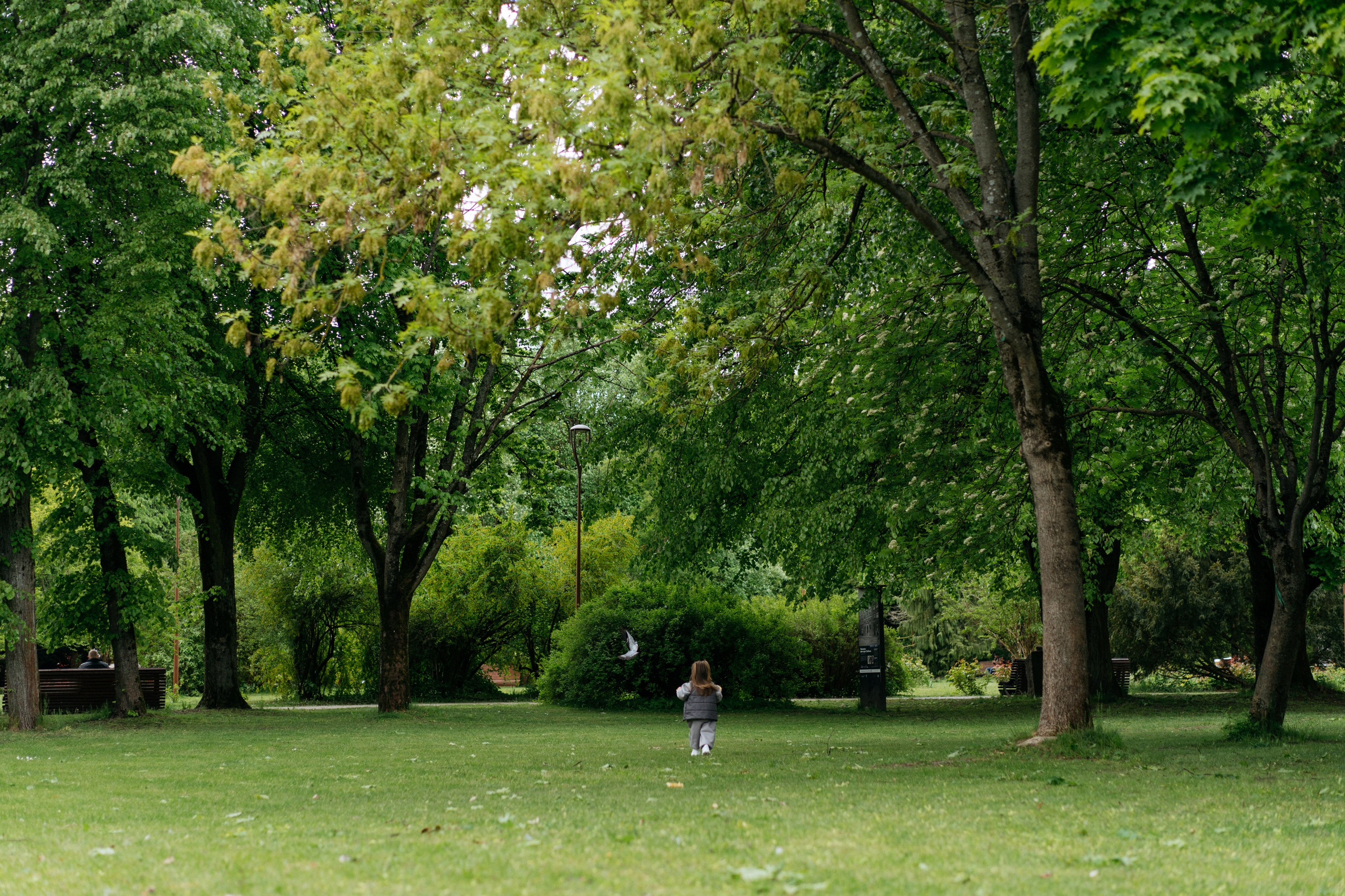 Остров Канта. Свадебный и семейный фотограф в Калининграде Анастасия Гриценко
