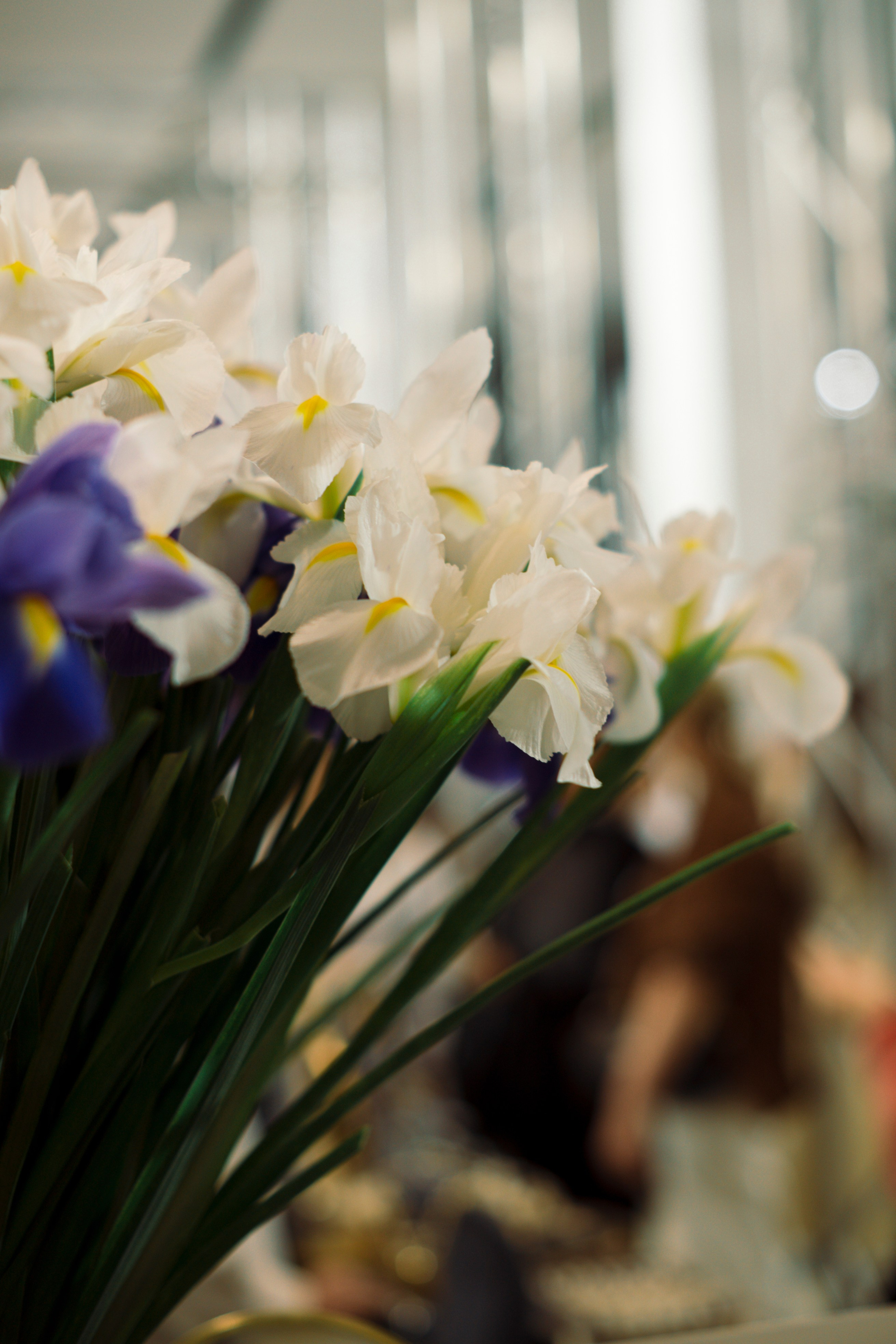 Fashion Week 2025. Свадебный фотограф в Москве Кристина Чехова