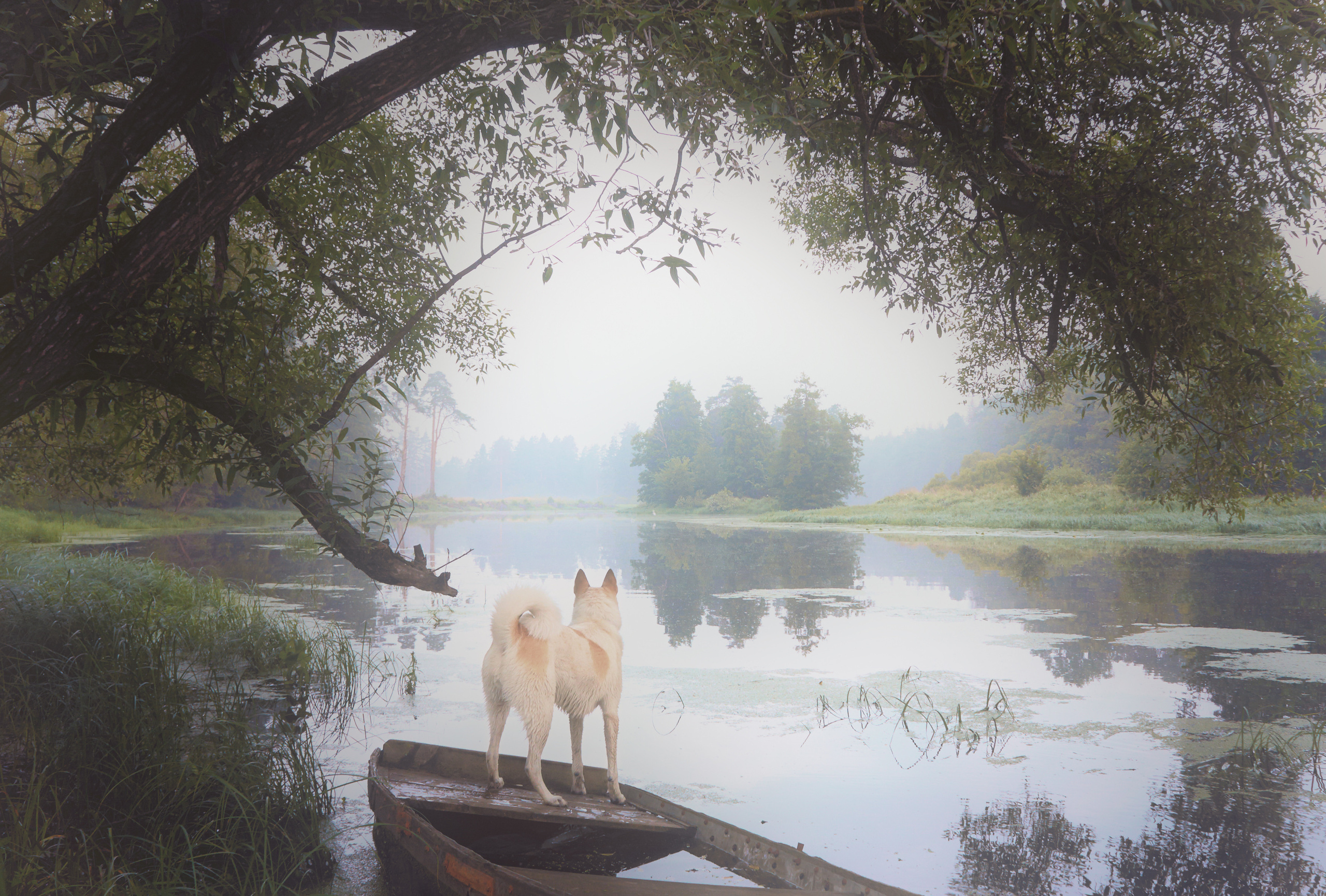 Пейзажная фотография. Портретный фотограф Виноградов Александр | Москва, Шатура