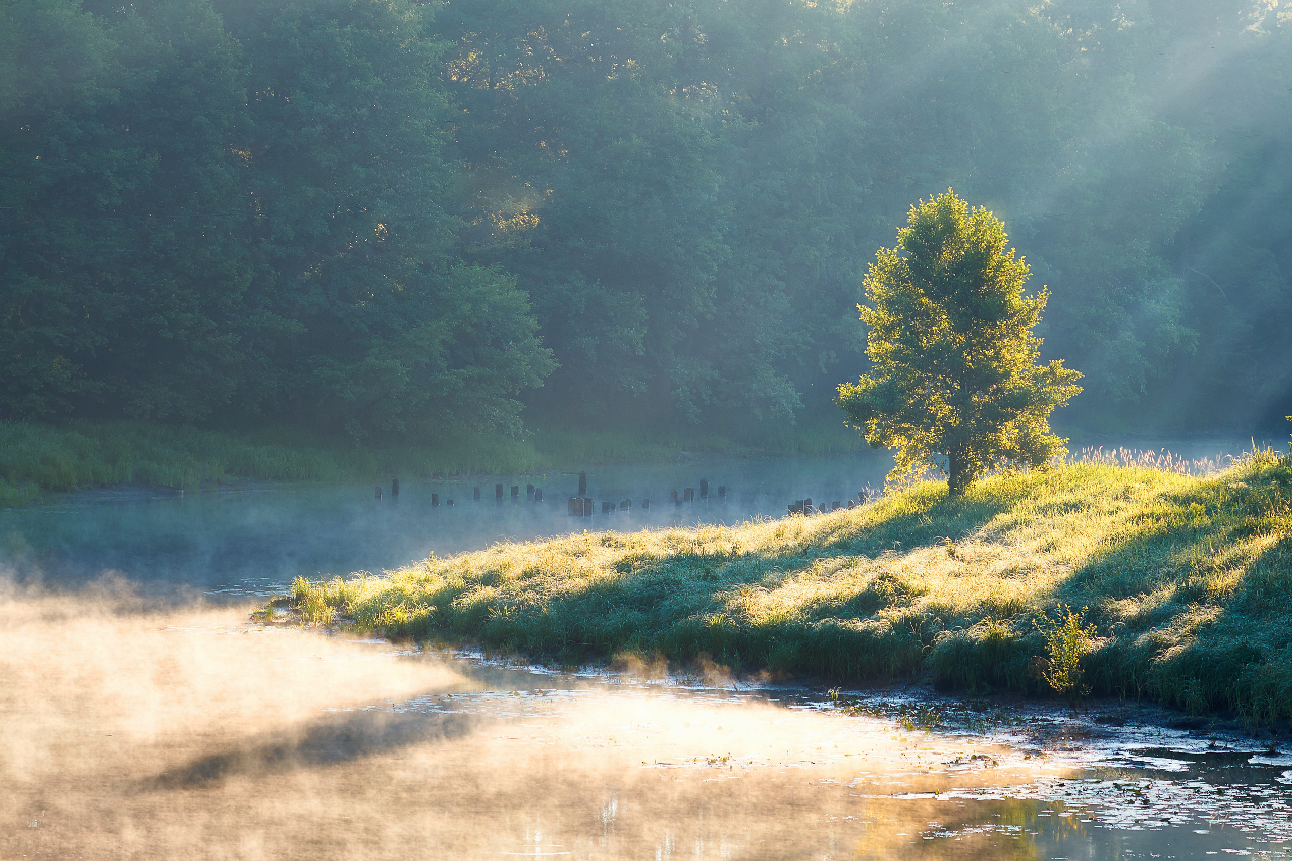 Пейзажная фотография. Портретный фотограф Виноградов Александр | Москва, Шатура