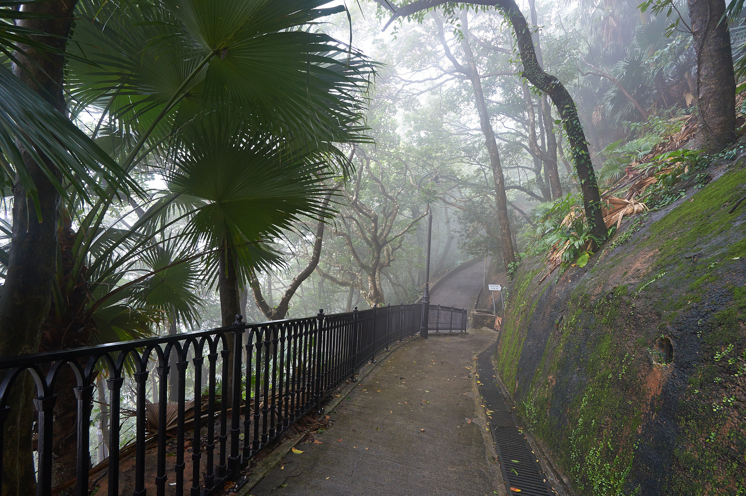 Фото из путешествий. Портретный фотограф Виноградов Александр | Москва, Шатура