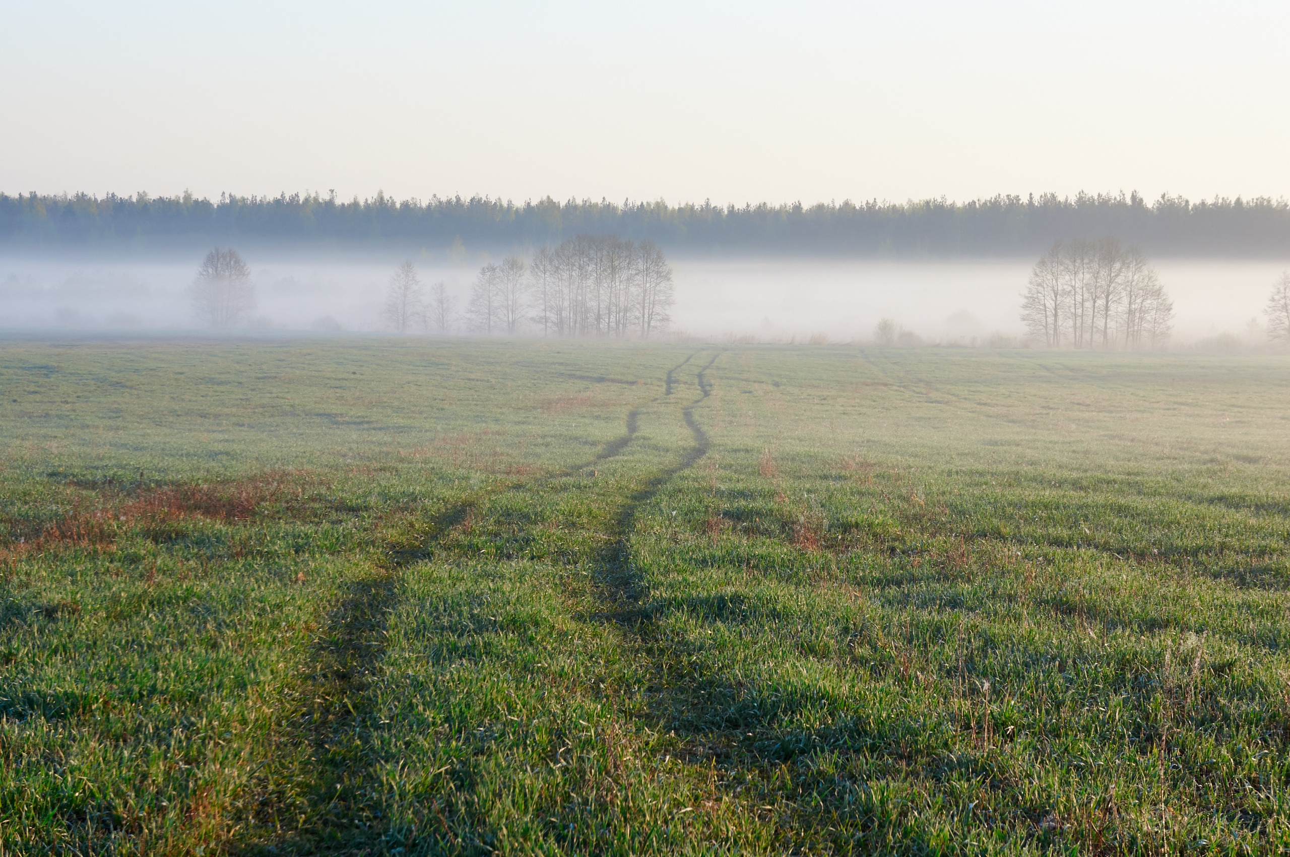 Пейзажная фотография. Портретный фотограф Виноградов Александр | Москва, Шатура